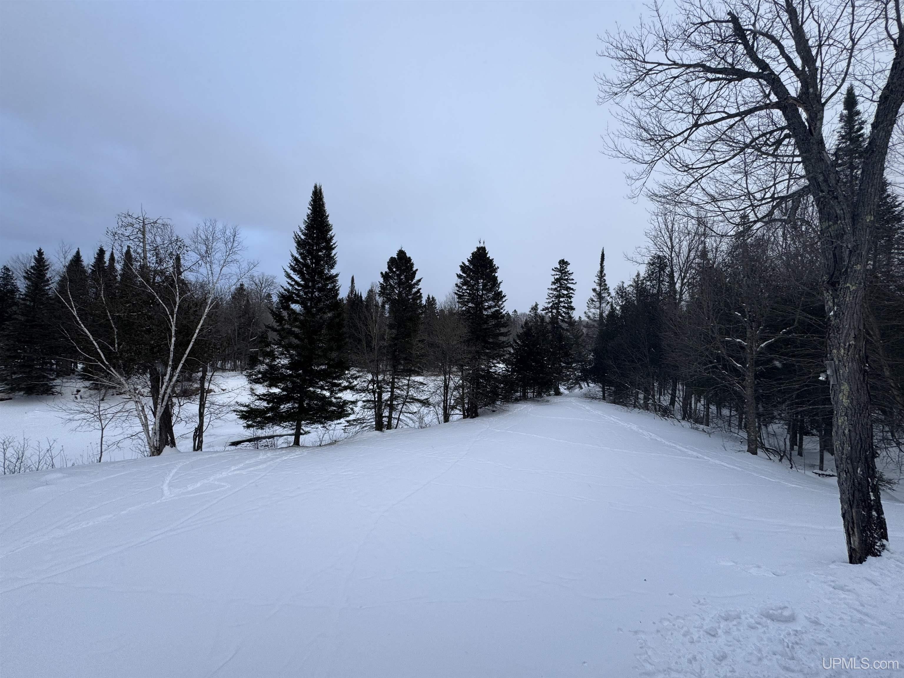 Homes for sale in Channing, MI | N13545 Newberg Rd, Channing, MI 49815 | MLS# 50166656