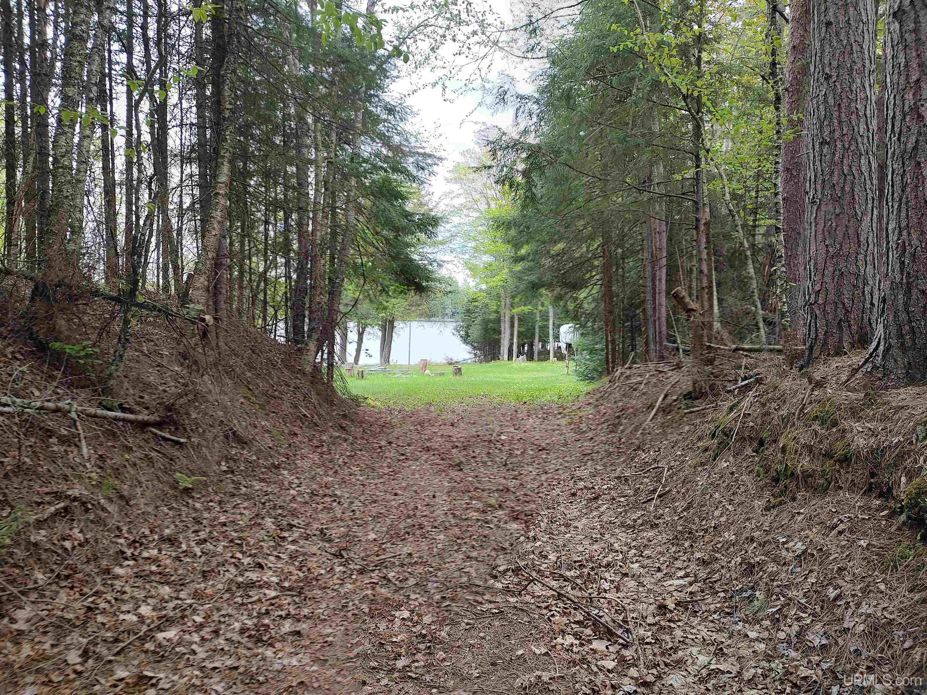 Homes for sale in Iron River, MI | 301A-301B Robinson Lake Rd, Iron River, MI 49935 | MLS# 50167828