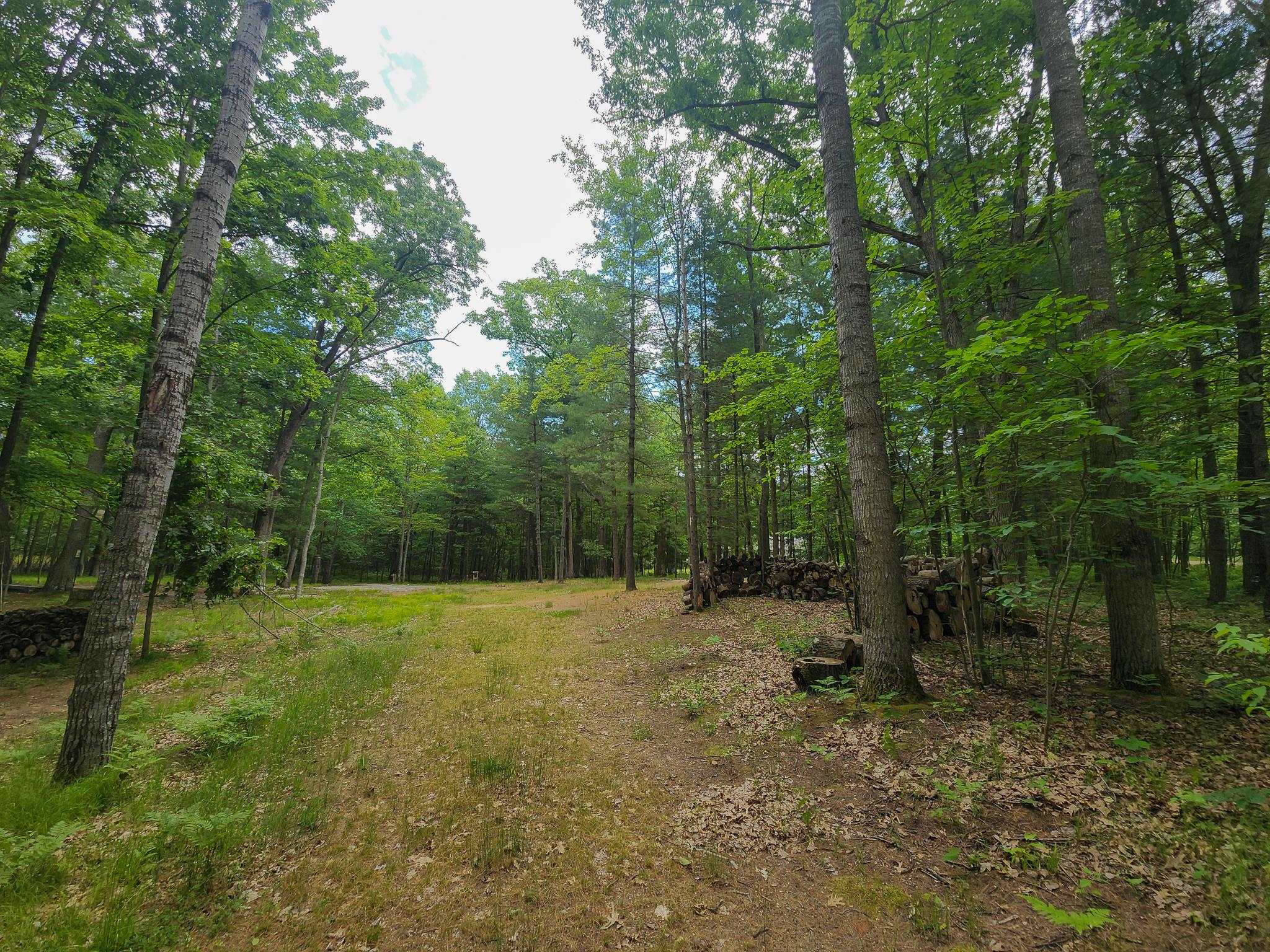 Homes for sale in Farwell, MI | 4537 Pine Run Rd, Farwell, MI 48622 | MLS# 50167849