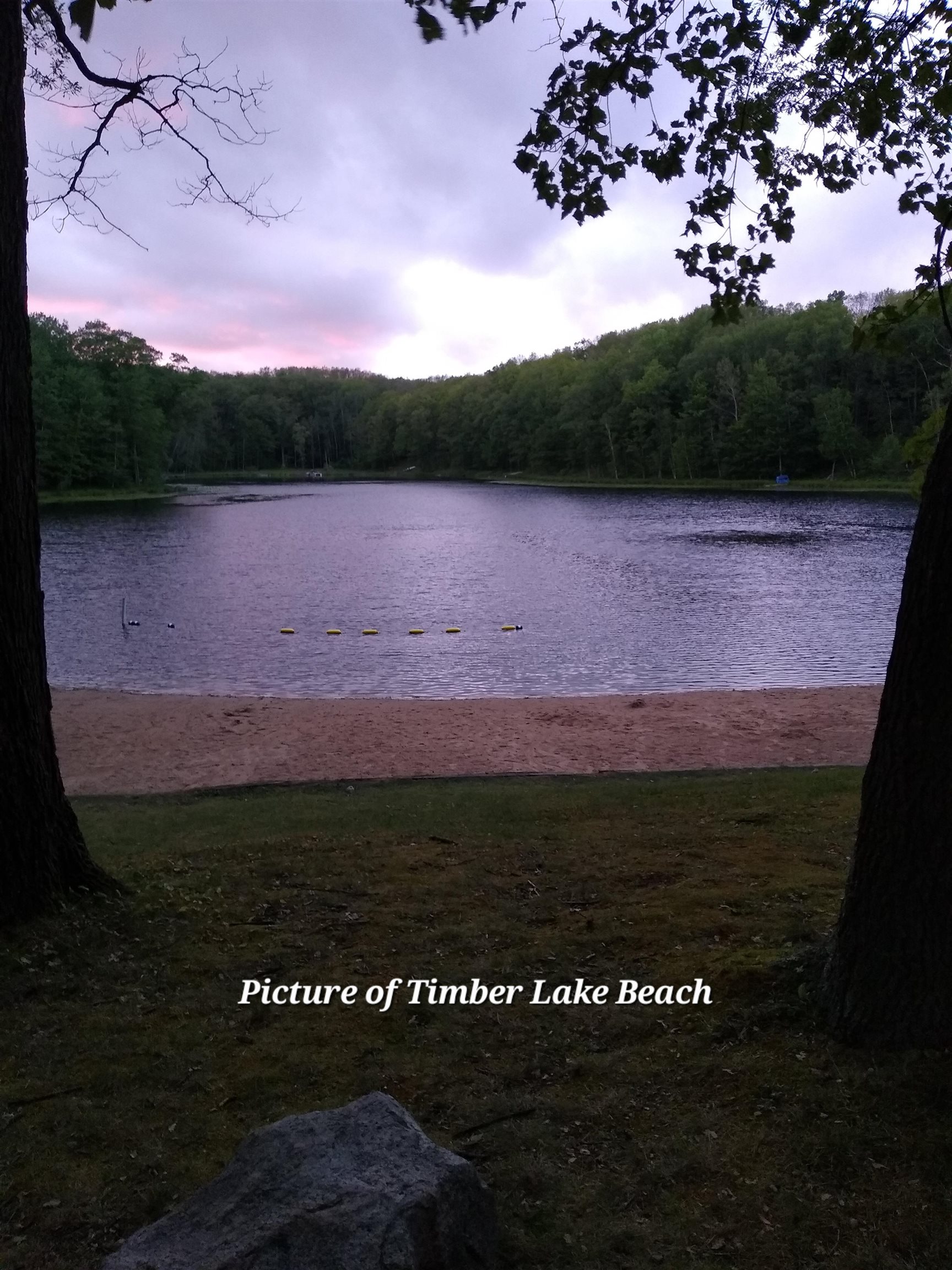 Homes for sale in Farwell, MI | 4537 Pine Run Rd, Farwell, MI 48622 | MLS# 50167849