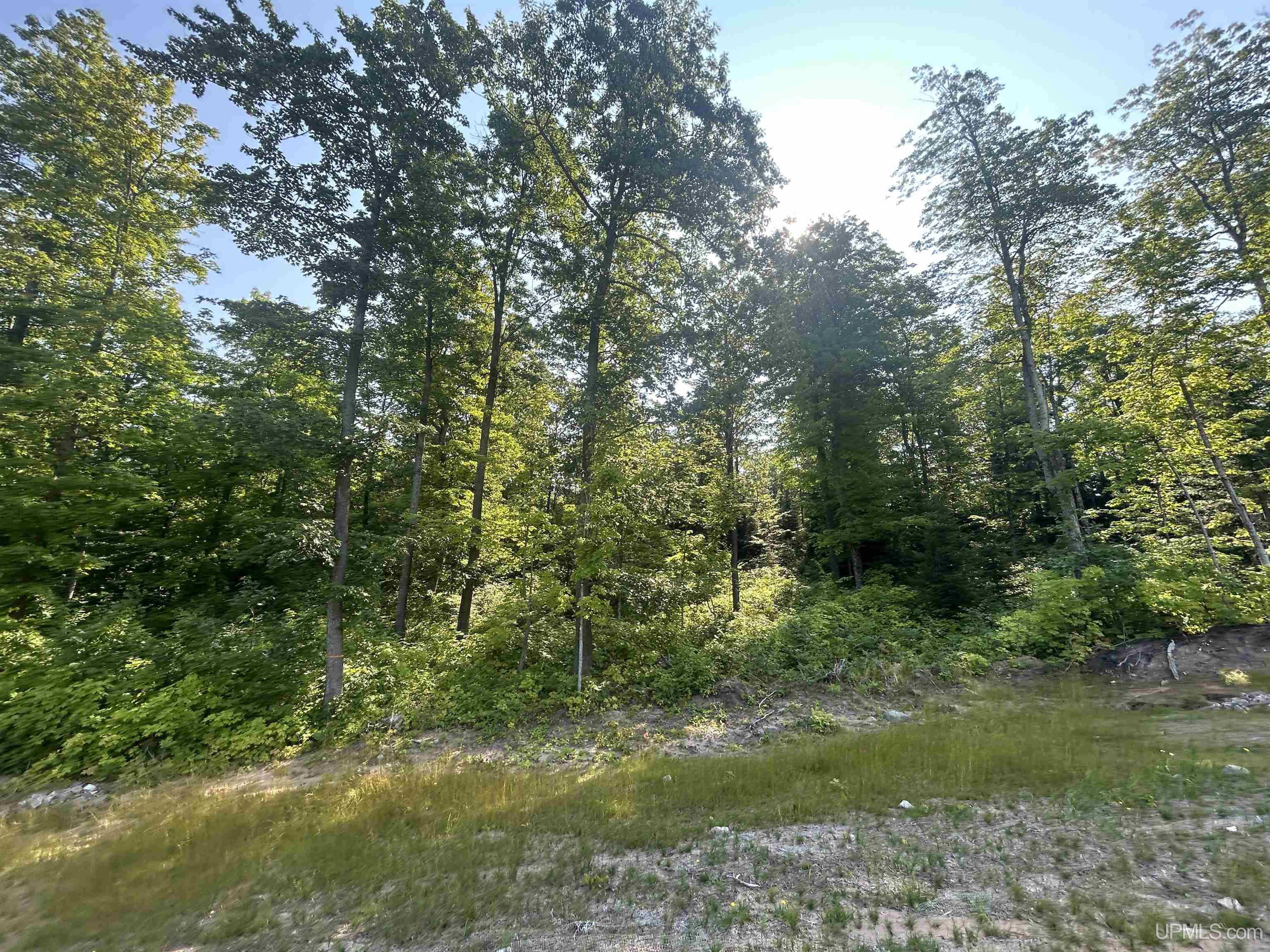 Homes for sale in Negaunee, MI | Parcel 1a Bridgeview Ln, Negaunee, MI 49866 | MLS# 50168152