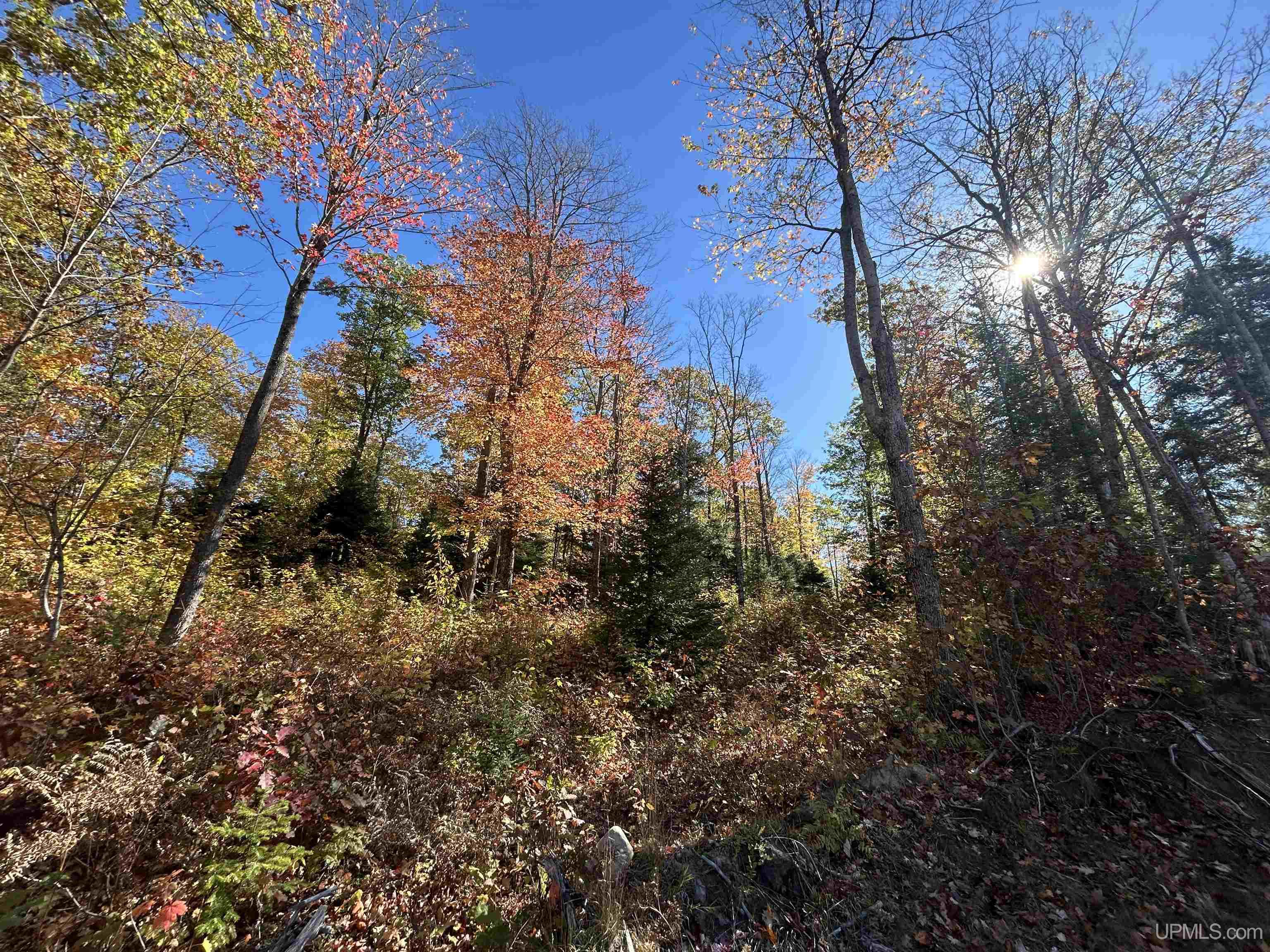 Homes for sale in Negaunee, MI | Parcel 1A Bridgeview Ln, Negaunee, MI 49866 | MLS# 50168152