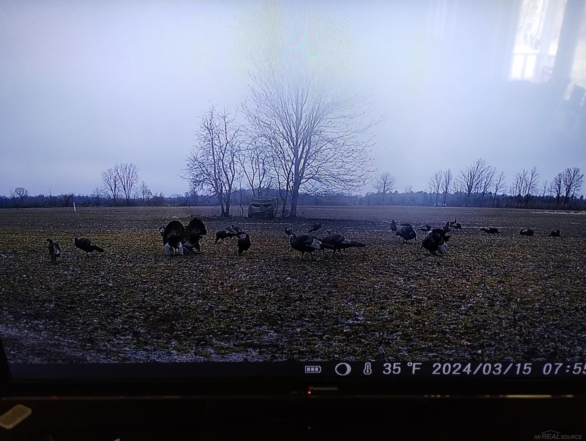 Homes for sale in Emmett, MI | V/l Rose Rd, Emmett, MI 48022 | MLS# 50168171