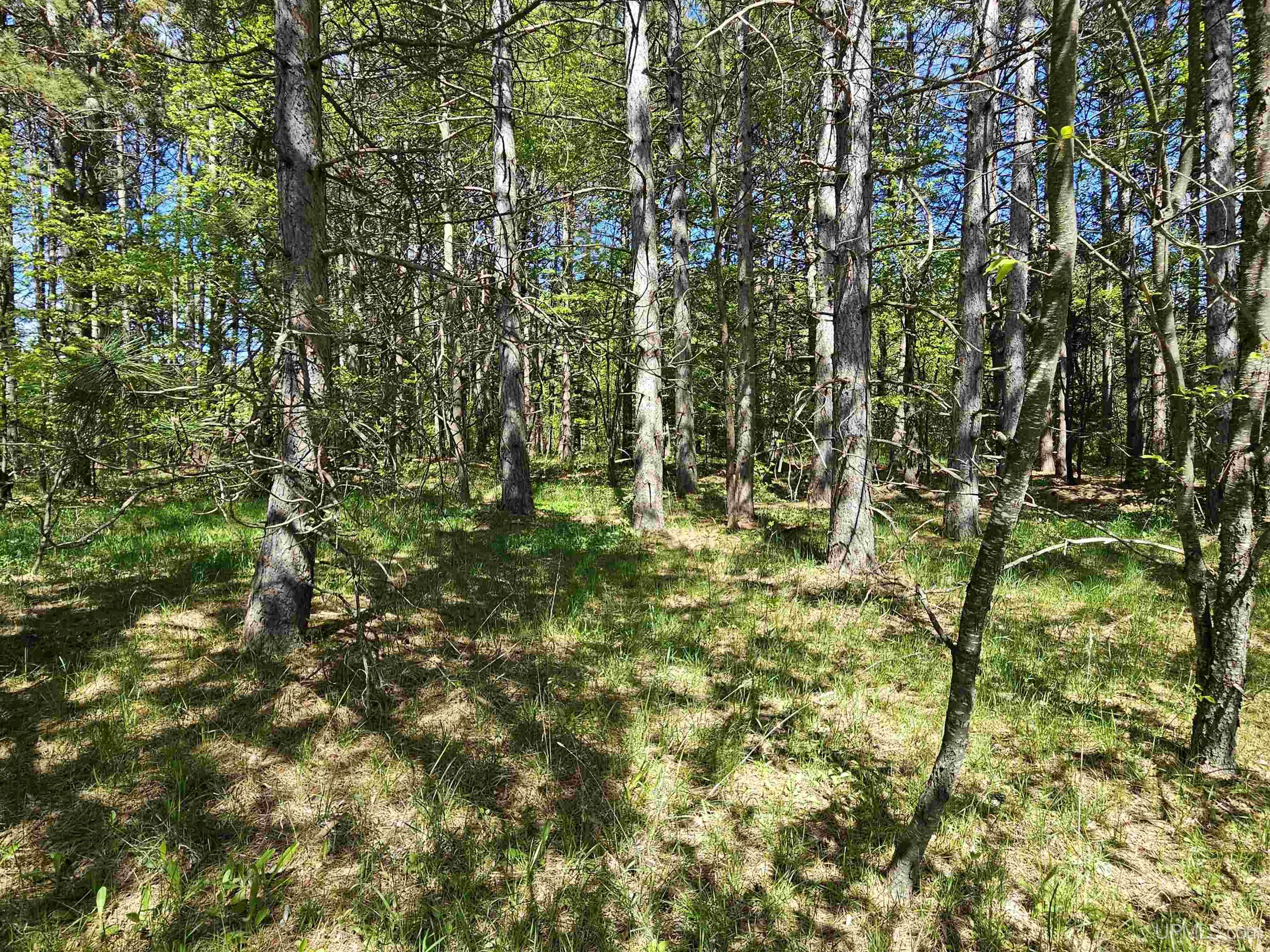 Homes for sale in Bessemer, MI | Lots 33 & 34 Storm Watch Dr, Bessemer, MI 49911 | MLS# 50168587