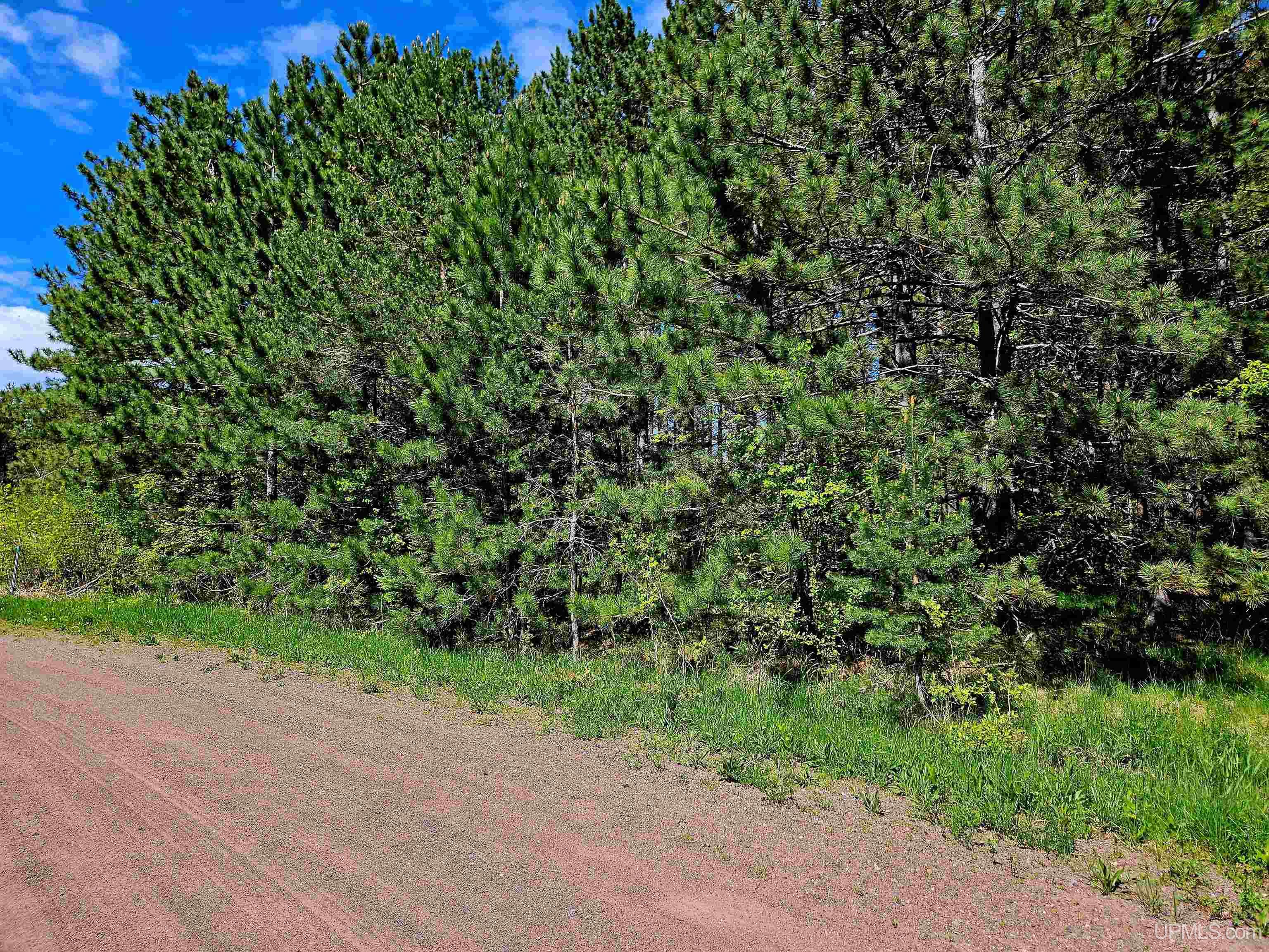 Homes for sale in Bessemer, MI | Lots 33 & 34 Storm Watch Dr, Bessemer, MI 49911 | MLS# 50168587