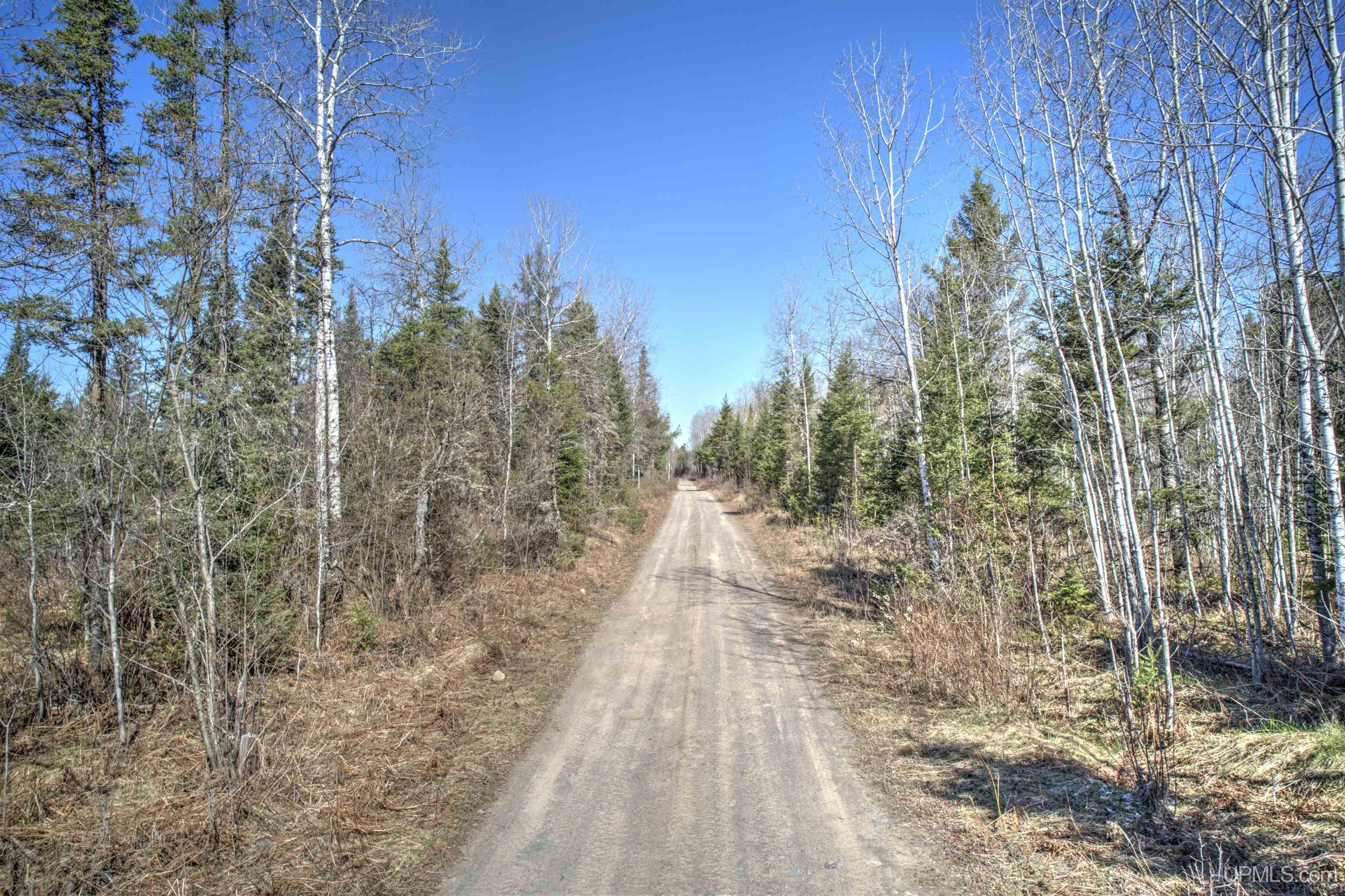 Homes for sale in Crystal Falls, MI | Tbd Wests Rd, Crystal Falls, MI 49920 | MLS# 50168997