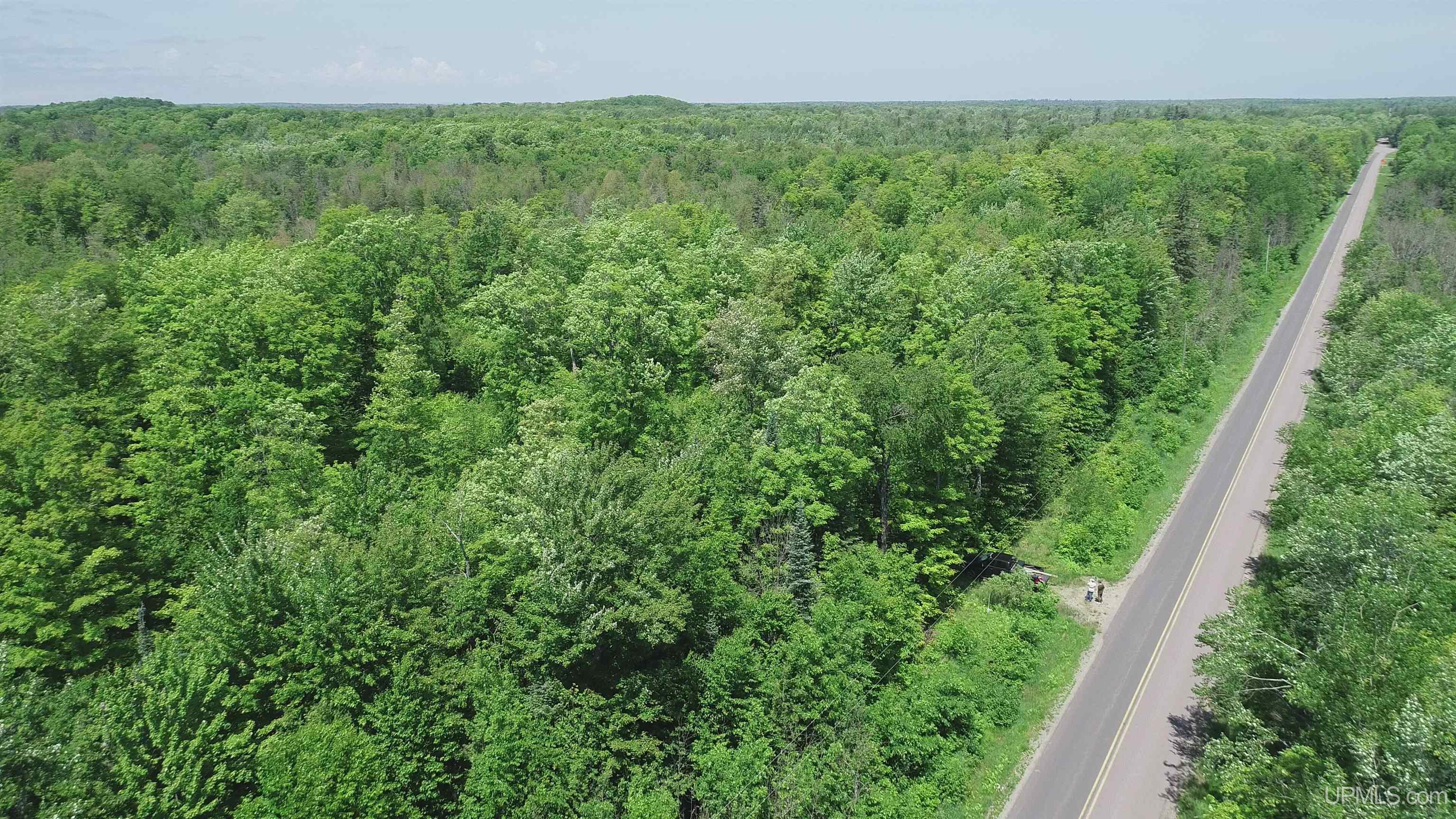 Homes for sale in Skandia, MI | 40 Acres Maple Grove Rd, Skandia, MI 49885 | MLS# 50170525