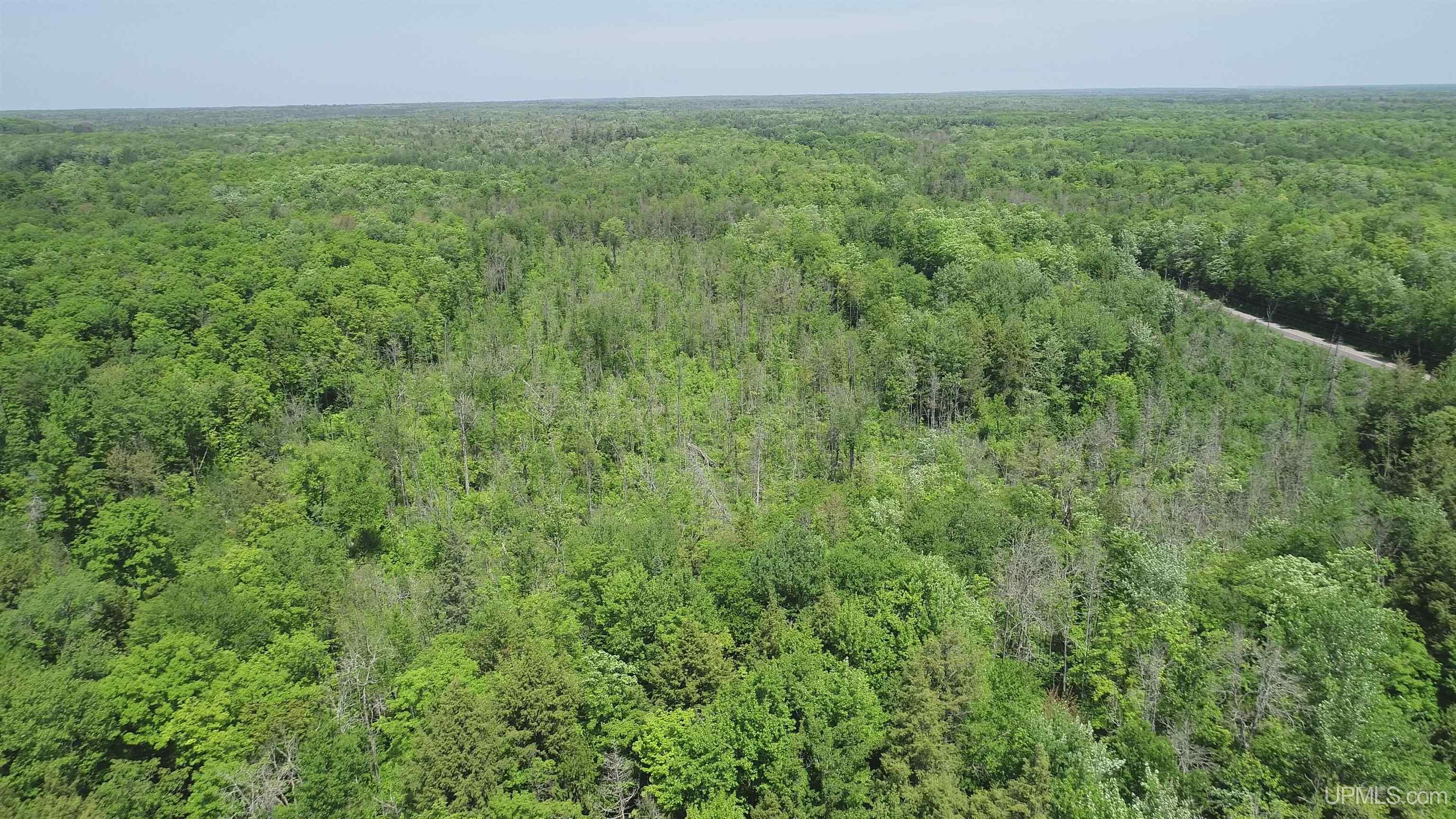 Homes for sale in Skandia, MI | 40 Acres Maple Grove Rd, Skandia, MI 49885 | MLS# 50170525