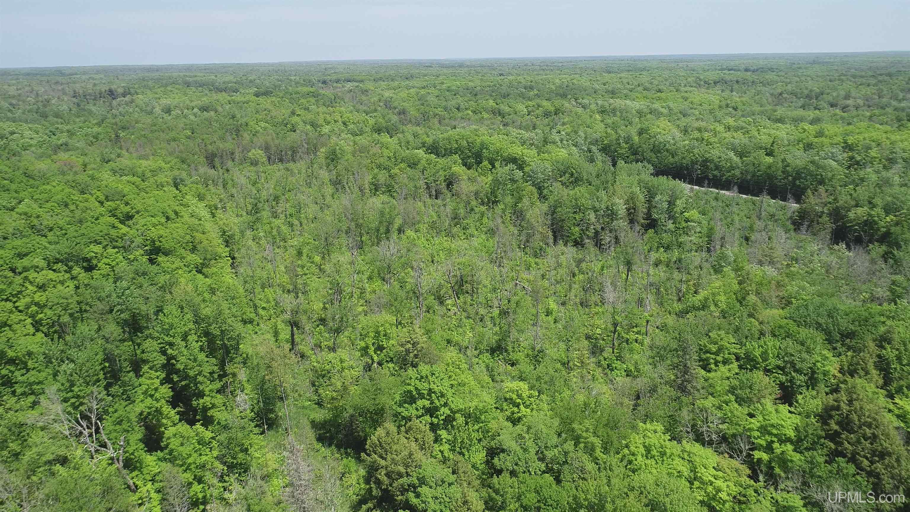 Homes for sale in Skandia, MI | 40 Acres Maple Grove Rd, Skandia, MI 49885 | MLS# 50170525