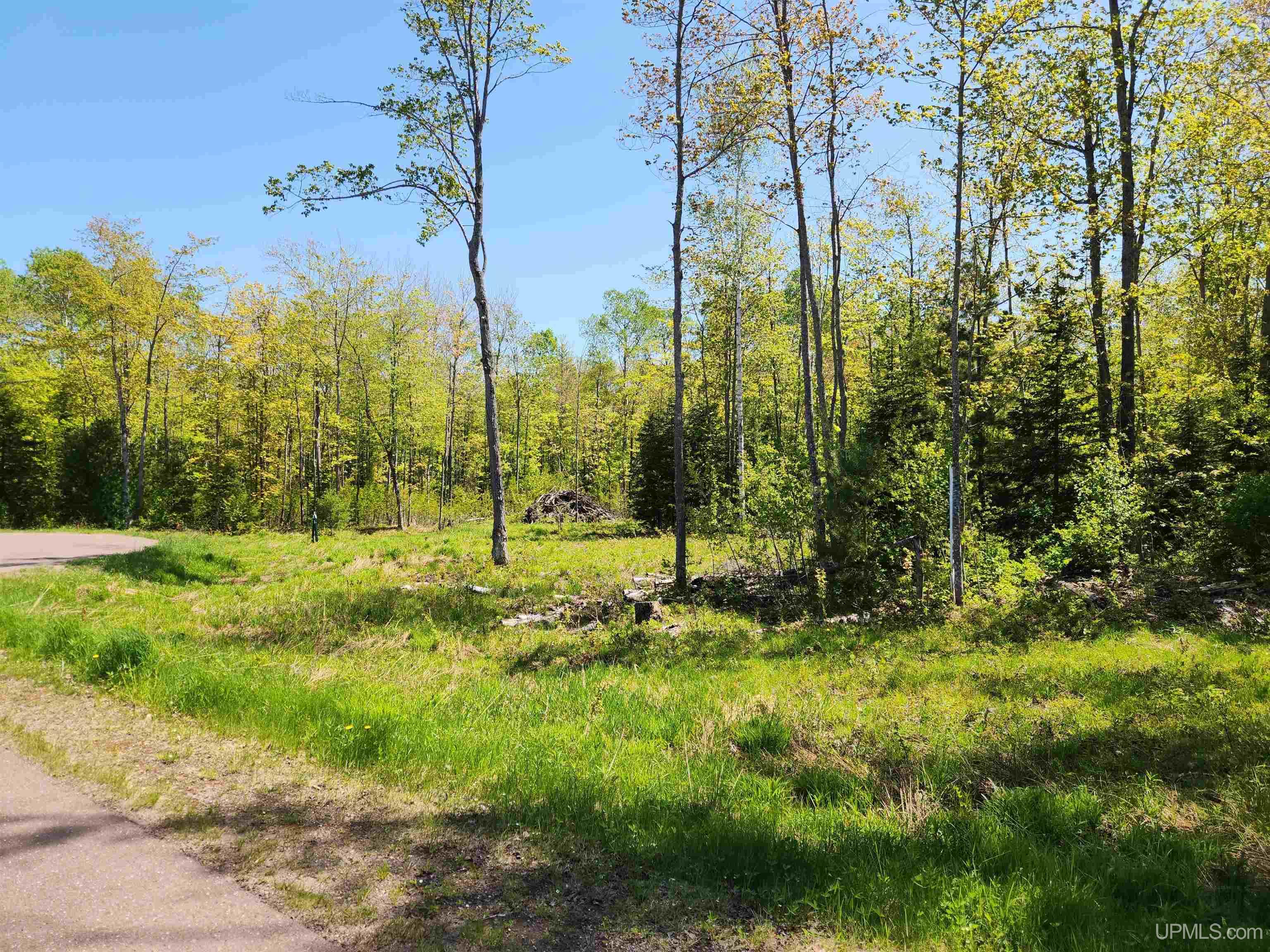 Homes for sale in Chassell, MI | Unit 6 Greenway Dr, Chassell, MI 49916 | MLS# 50170847