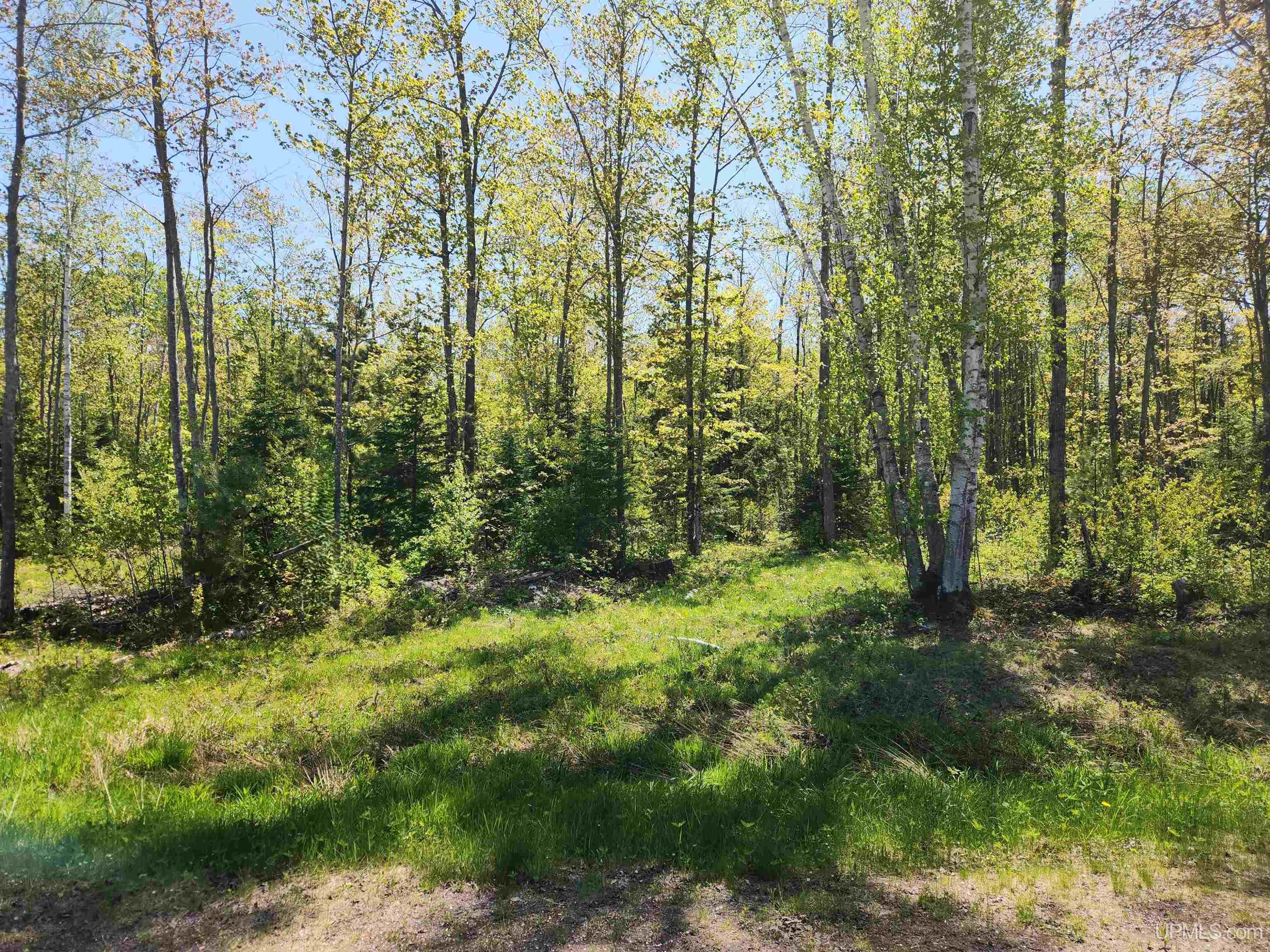 Homes for sale in Chassell, MI | Unit 6 Greenway Dr, Chassell, MI 49916 | MLS# 50170847