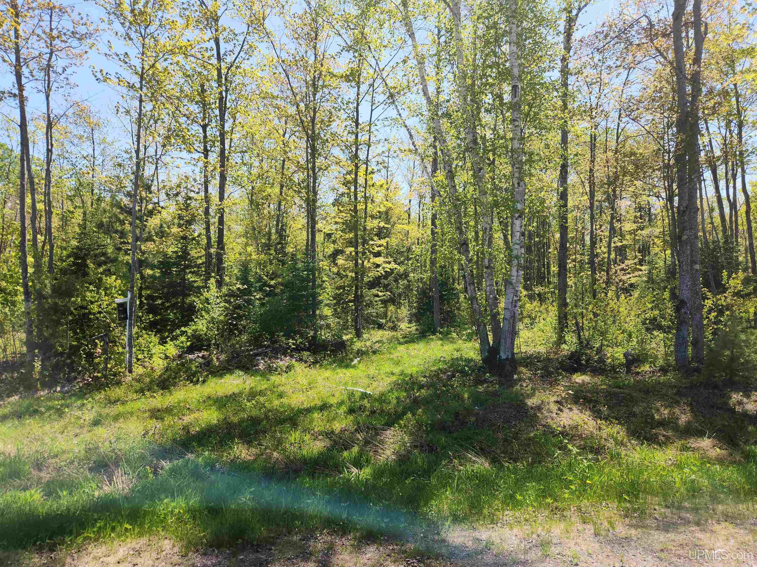 Homes for sale in Chassell, MI | Unit 6 Greenway Dr, Chassell, MI 49916 | MLS# 50170847