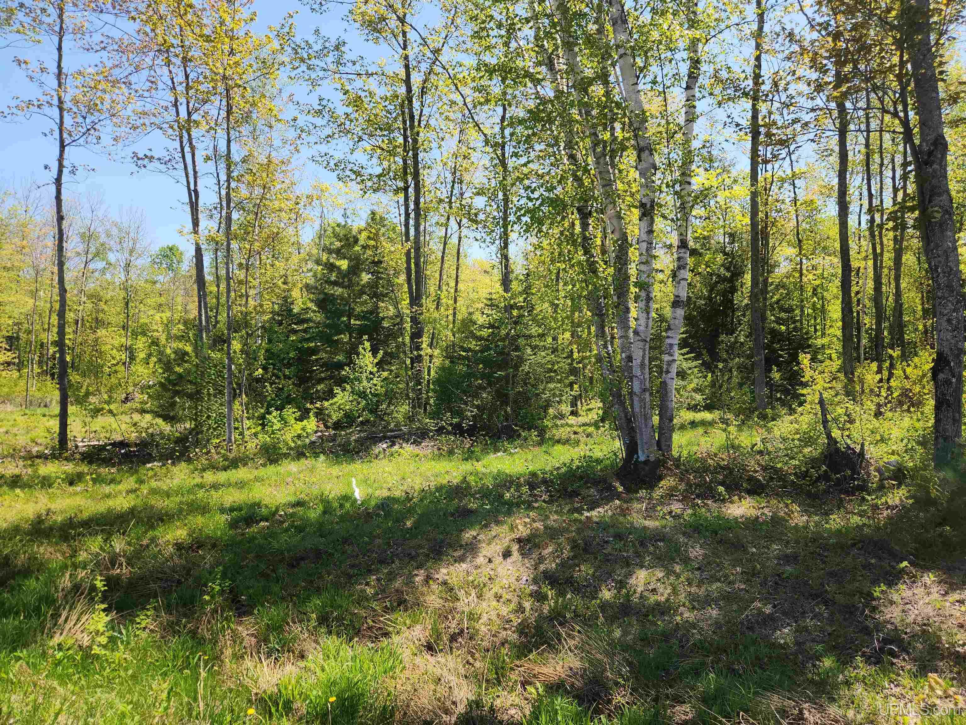 Homes for sale in Chassell, MI | Unit 6 Greenway Dr, Chassell, MI 49916 | MLS# 50170847