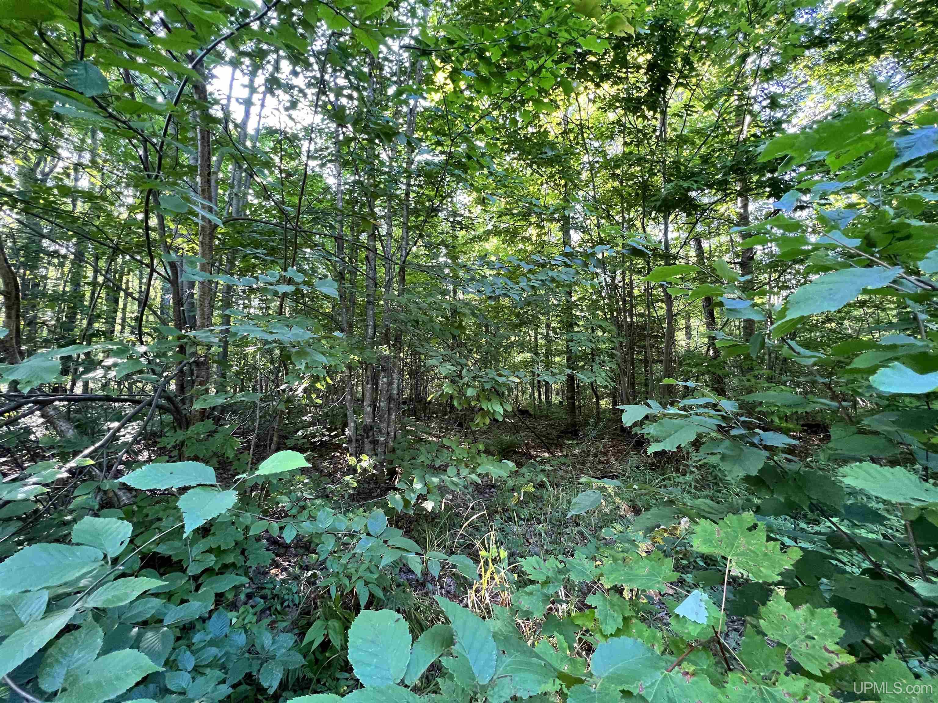 Homes for sale in Nisula, MI | 67, 68, 69 Brown Rd, Nisula, MI 49952 | MLS# 50171005