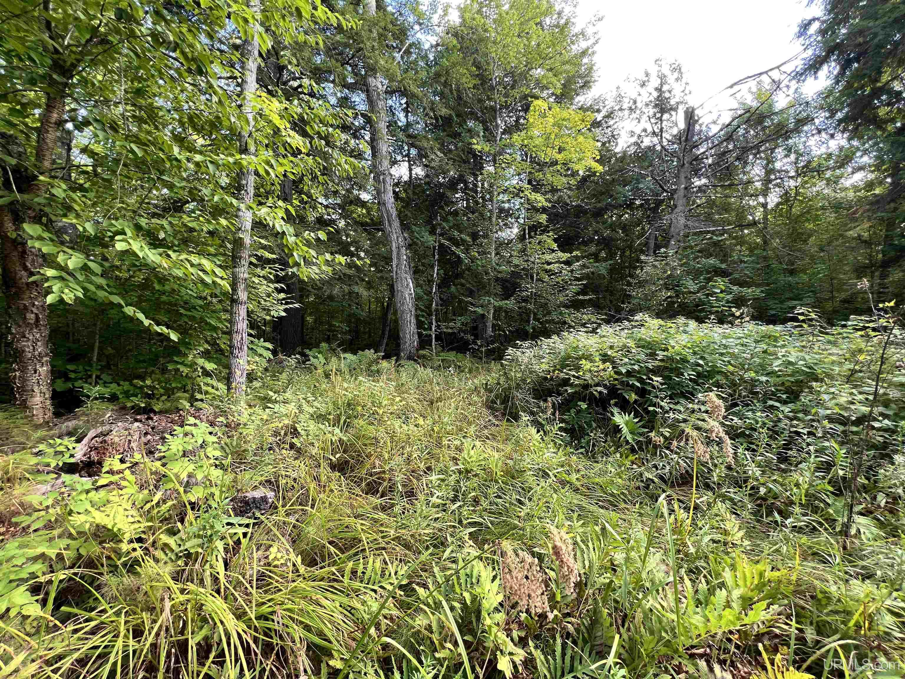 Homes for sale in Nisula, MI | 67, 68, 69 Brown Rd, Nisula, MI 49952 | MLS# 50171005