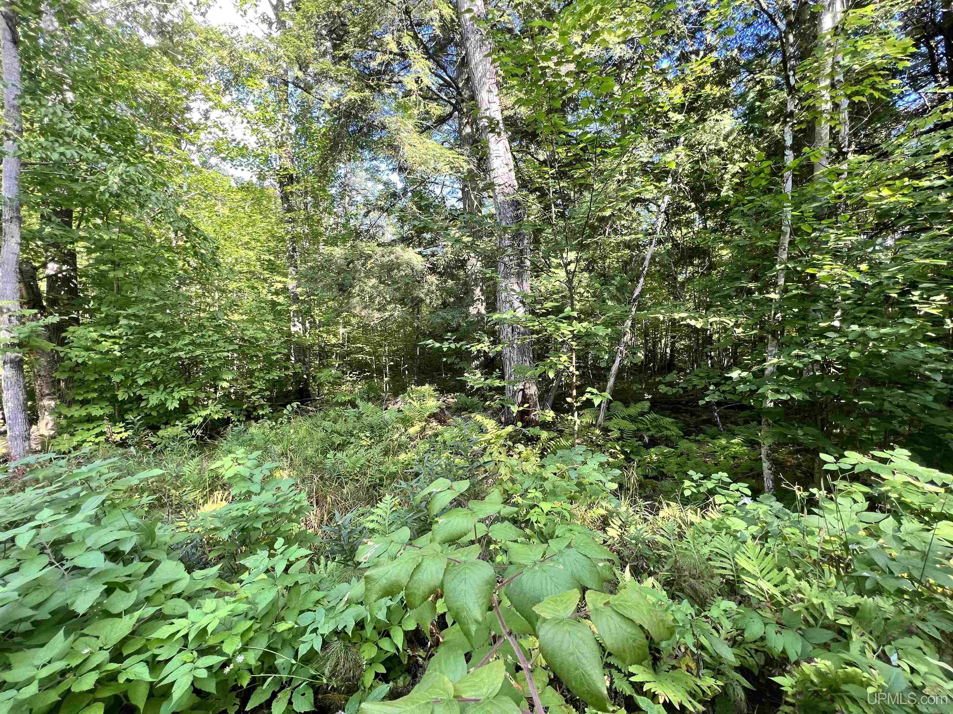 Homes for sale in Nisula, MI | 67, 68, 69 Brown Rd, Nisula, MI 49952 | MLS# 50171005