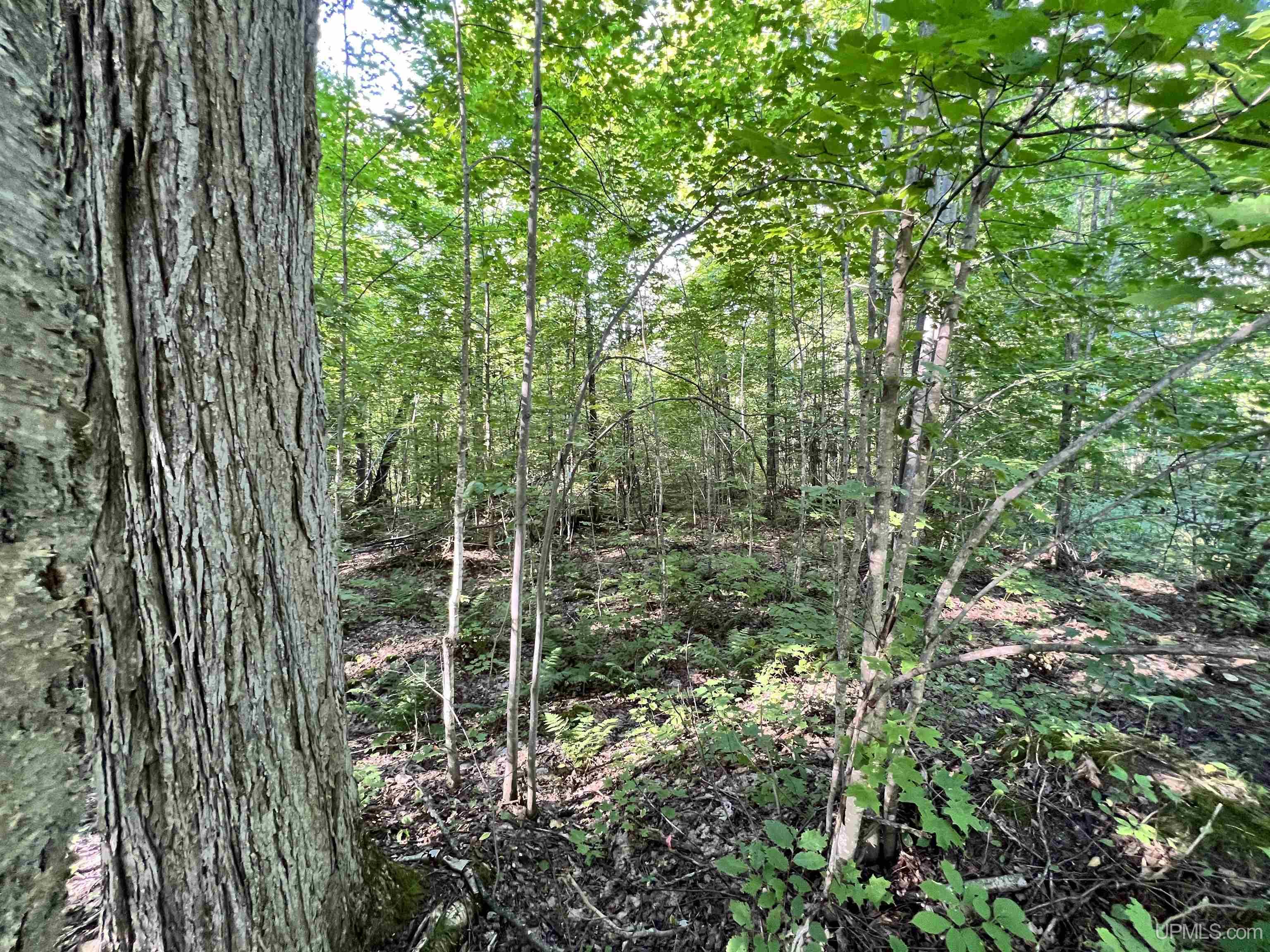 Homes for sale in Nisula, MI | 67, 68, 69 Brown Rd, Nisula, MI 49952 | MLS# 50171005