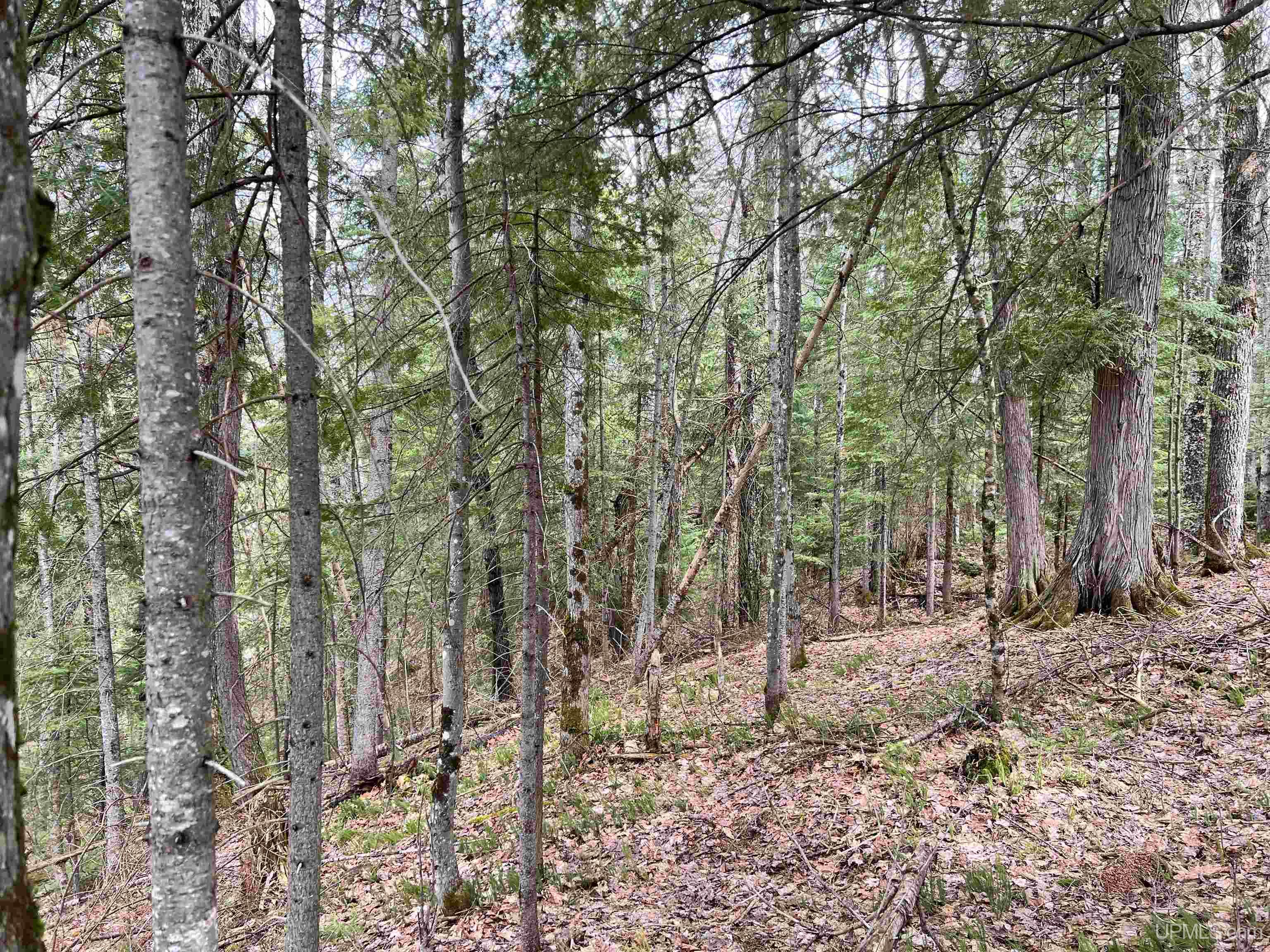 Homes for sale in Nisula, MI | 67, 68, 69 Brown Rd, Nisula, MI 49952 | MLS# 50171005