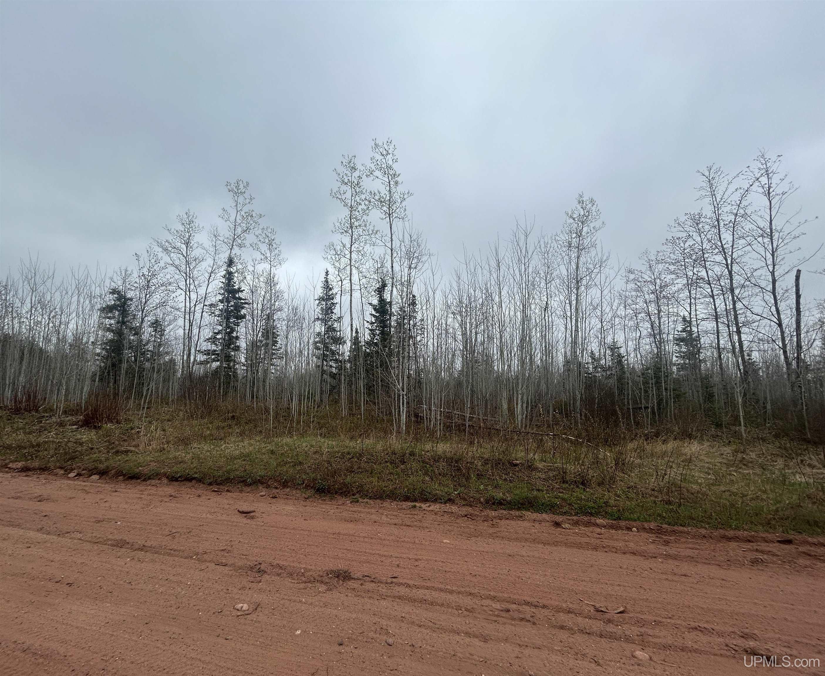 Homes for sale in Gwinn, MI | Tbd Iron Pin Trl, Gwinn, MI 49841 | MLS# 50171037