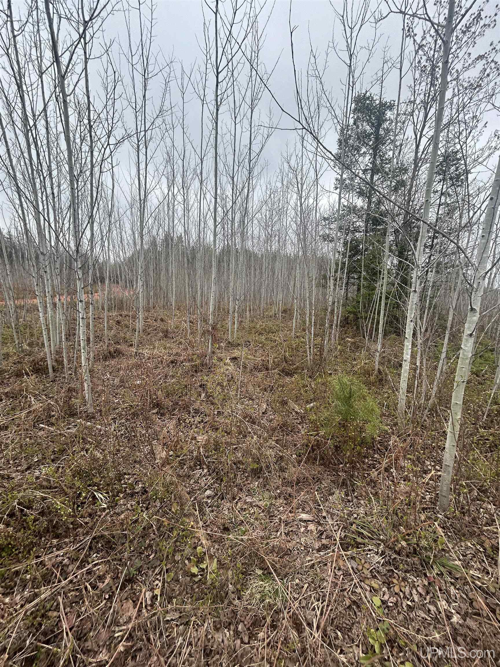 Homes for sale in Gwinn, MI | Tbd Iron Pin Trl, Gwinn, MI 49841 | MLS# 50171037