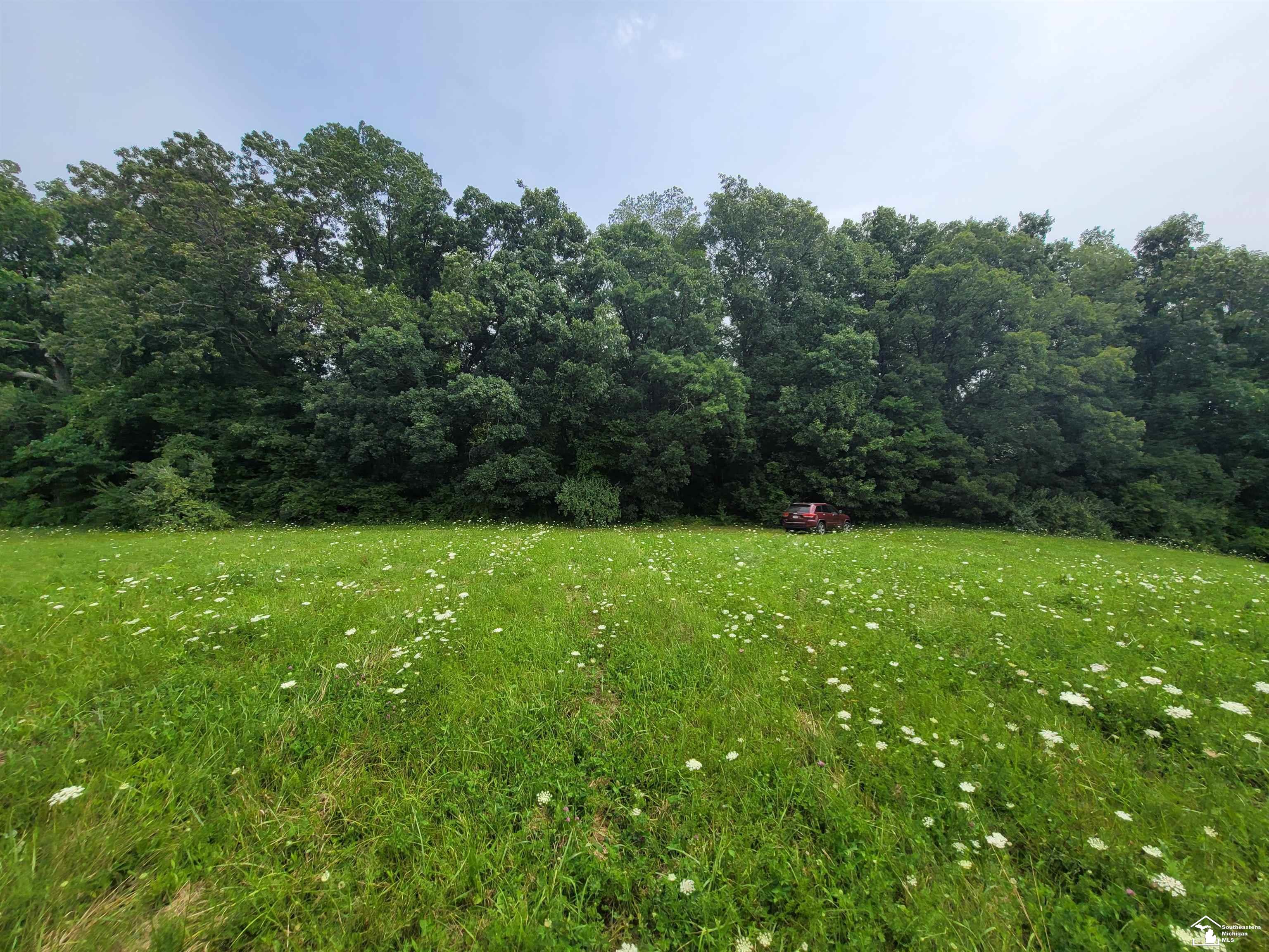 Homes for sale in Onsted, MI | 7191 Hickory Ln, Onsted, MI 49265 | MLS# 50172590