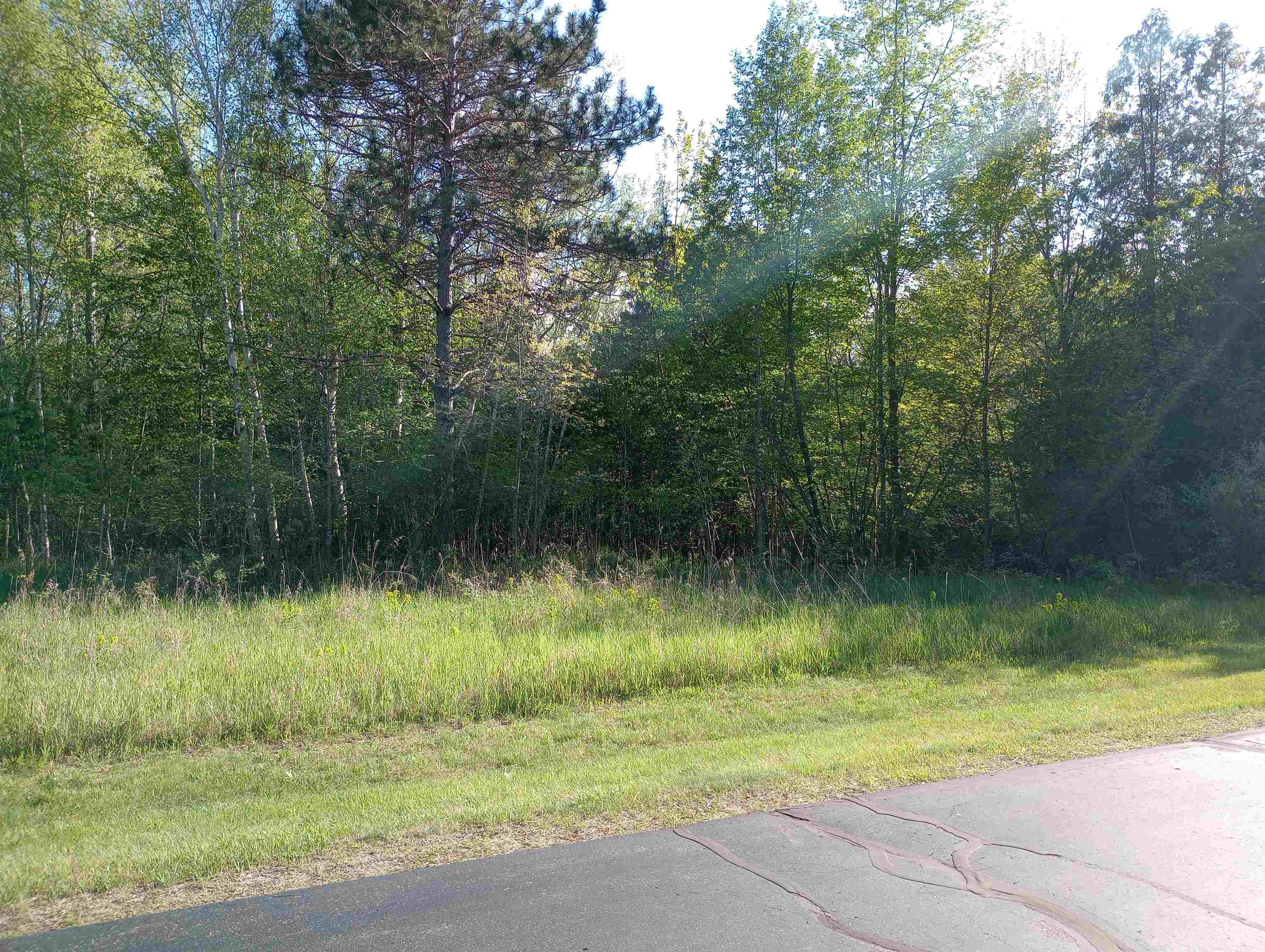 Homes for sale in Gladwin, MI | Lot 5 Castleview Ct, Gladwin, MI 48624 | MLS# 50174409