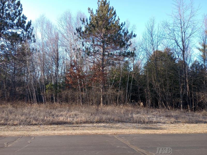 Homes for sale in Gladwin, MI | Lot 5 Castleview Ct, Gladwin, MI 48624 | MLS# 50174409