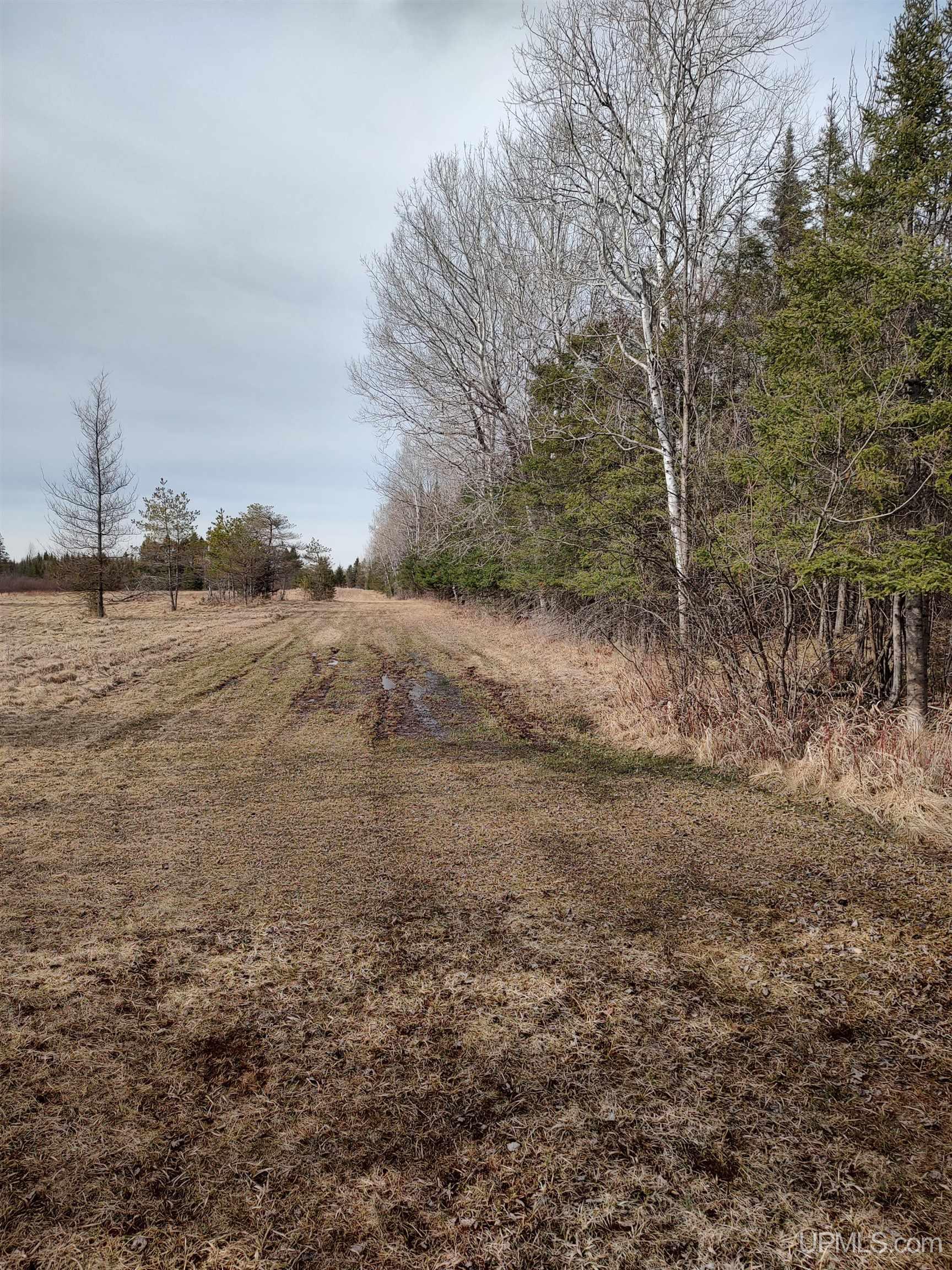 Homes for sale in Rock, MI | 40 Acres Trombley 35th Road Road, Rock, MI 49880 | MLS# 50174814