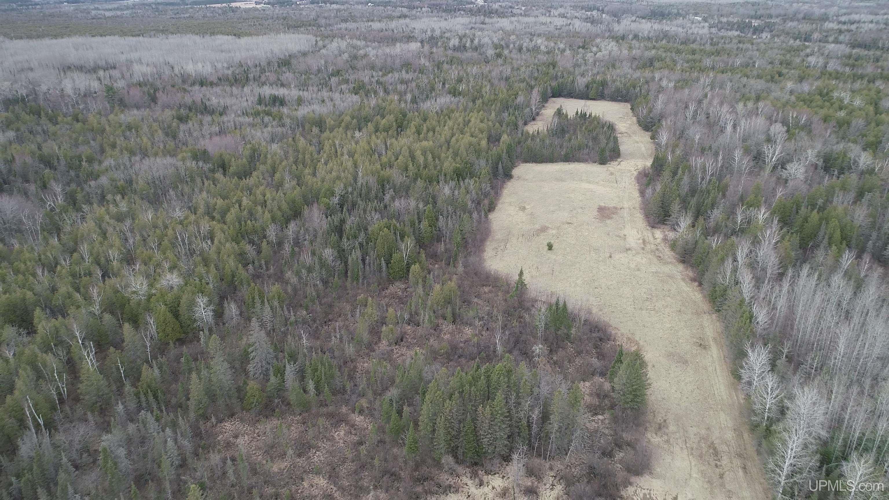 Homes for sale in Rock, MI | 40 Acres Trombley 35th Road Road, Rock, MI 49880 | MLS# 50174814