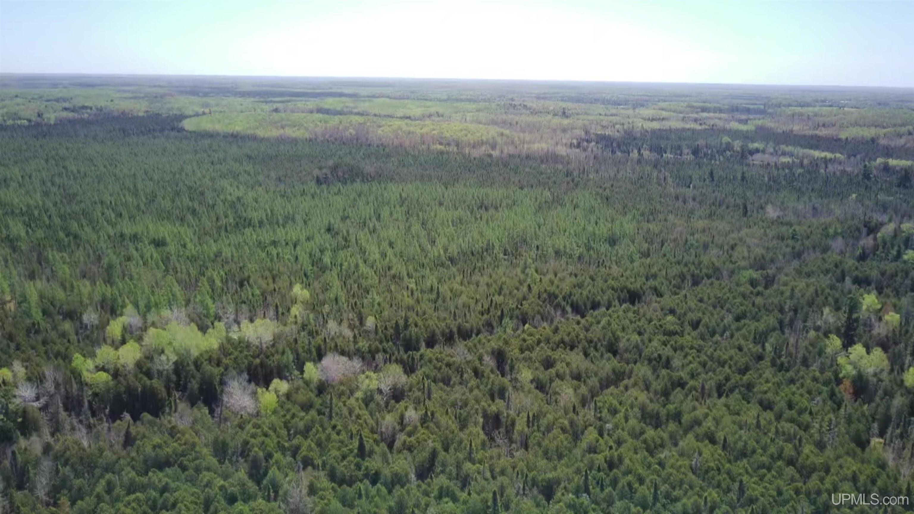 Homes for sale in Felch, MI | Tbd Sg Rd, Felch, MI 49831 | MLS# 50175113