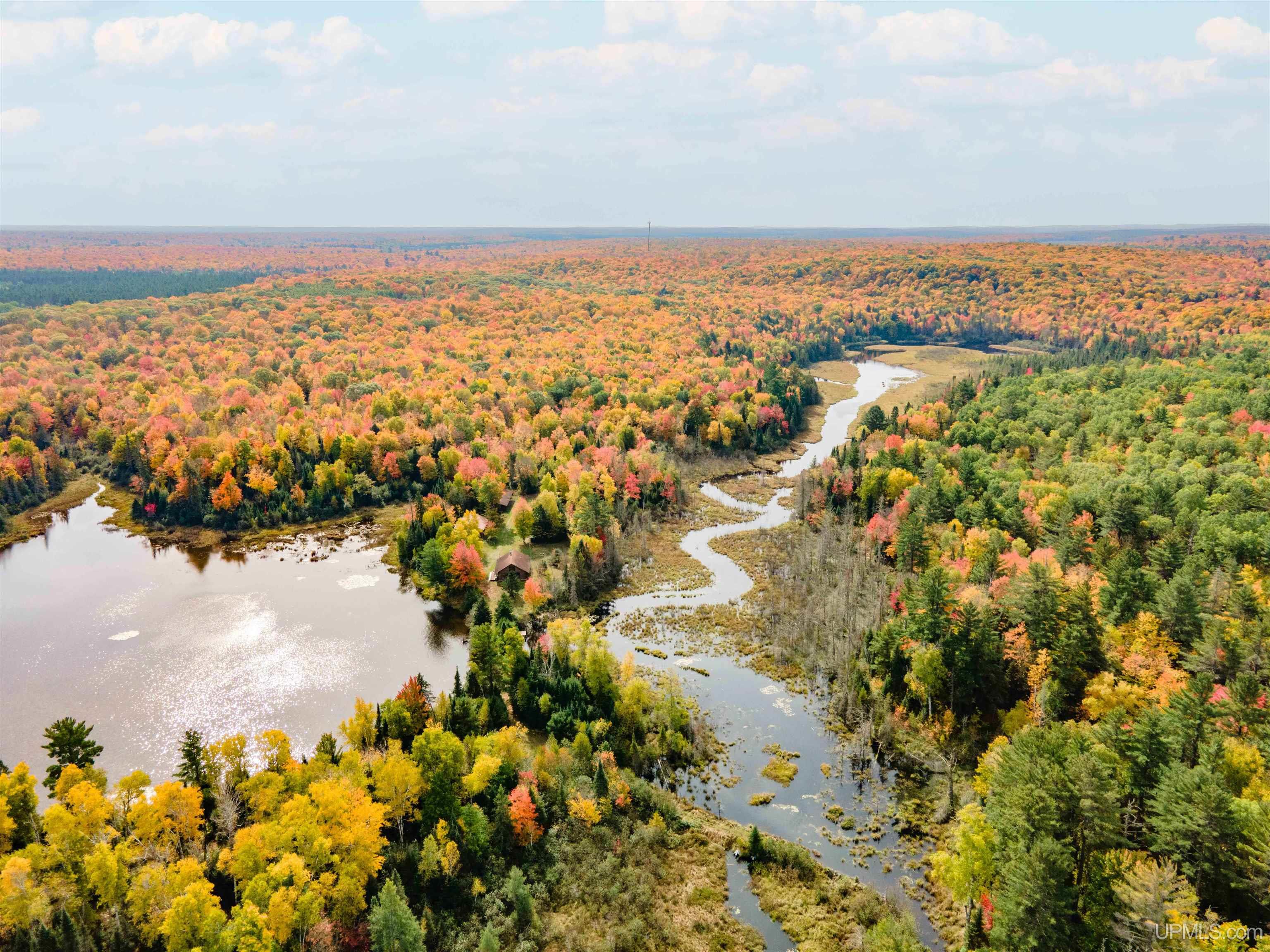 Homes for sale in Watersmeet, MI | E27350 Fdr3940, Watersmeet, MI 49969 | MLS# 50175653