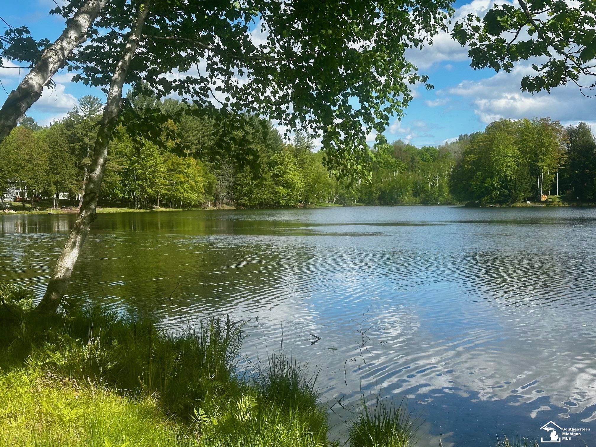 Homes for sale in Evart, MI | 9846 Miramichi Dr, Evart, MI 49631 | MLS# 50176876