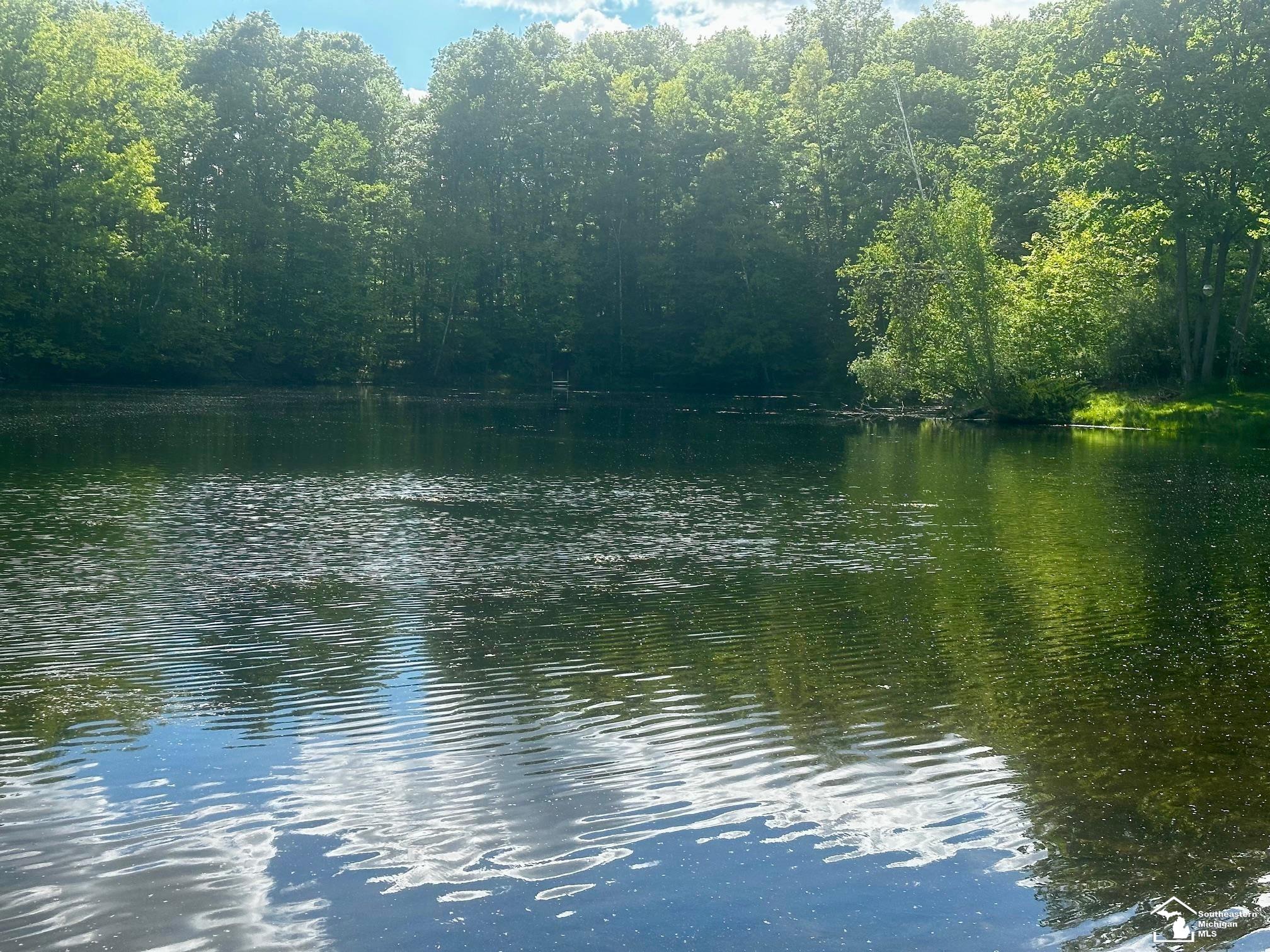 Homes for sale in Evart, MI | 9846 Miramichi Dr, Evart, MI 49631 | MLS# 50176876