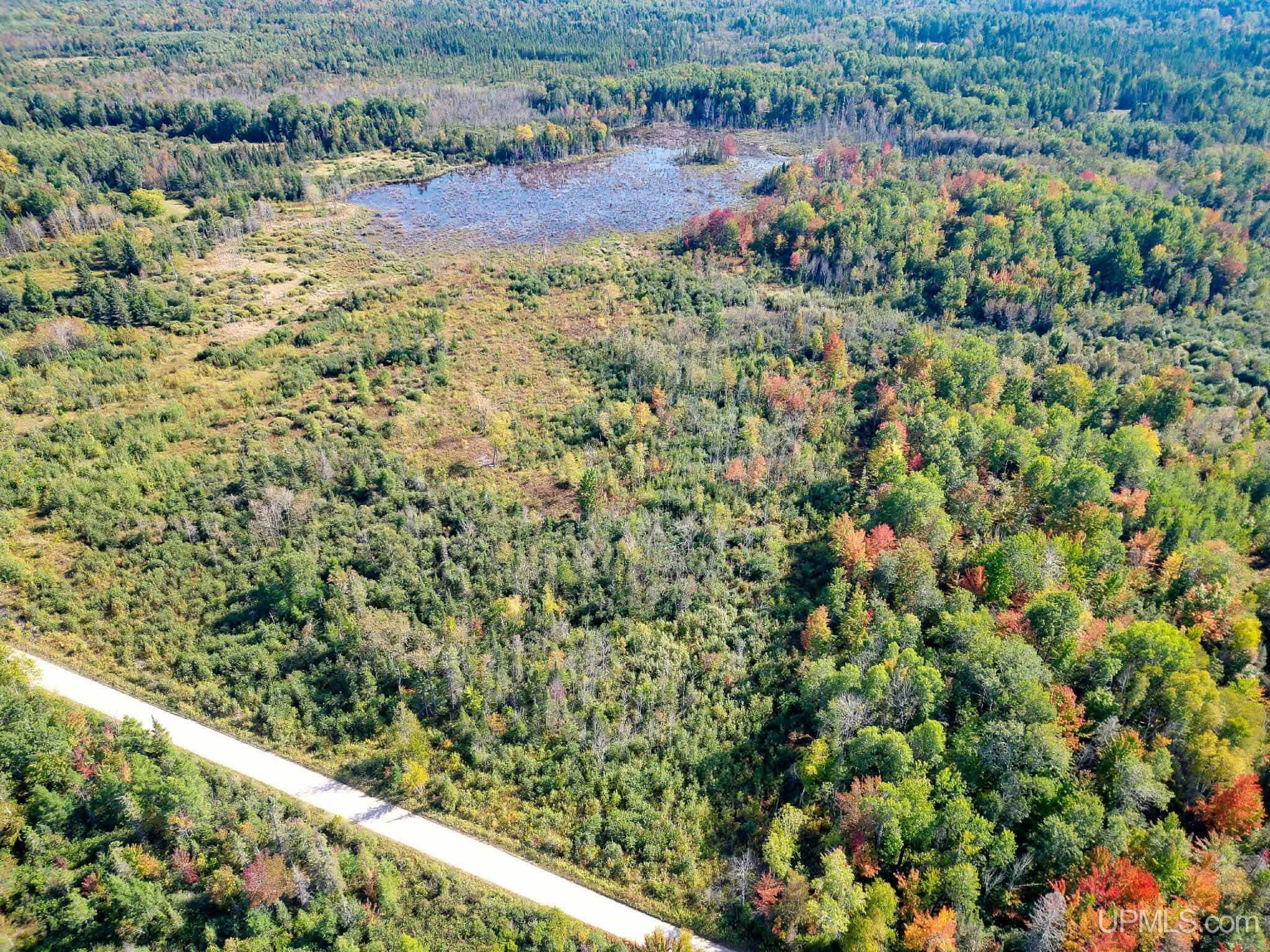 Homes for sale in Rock, MI | Tbd North 38th Rd "west 20" Rd, Rock, MI 49880 | MLS# 50176978