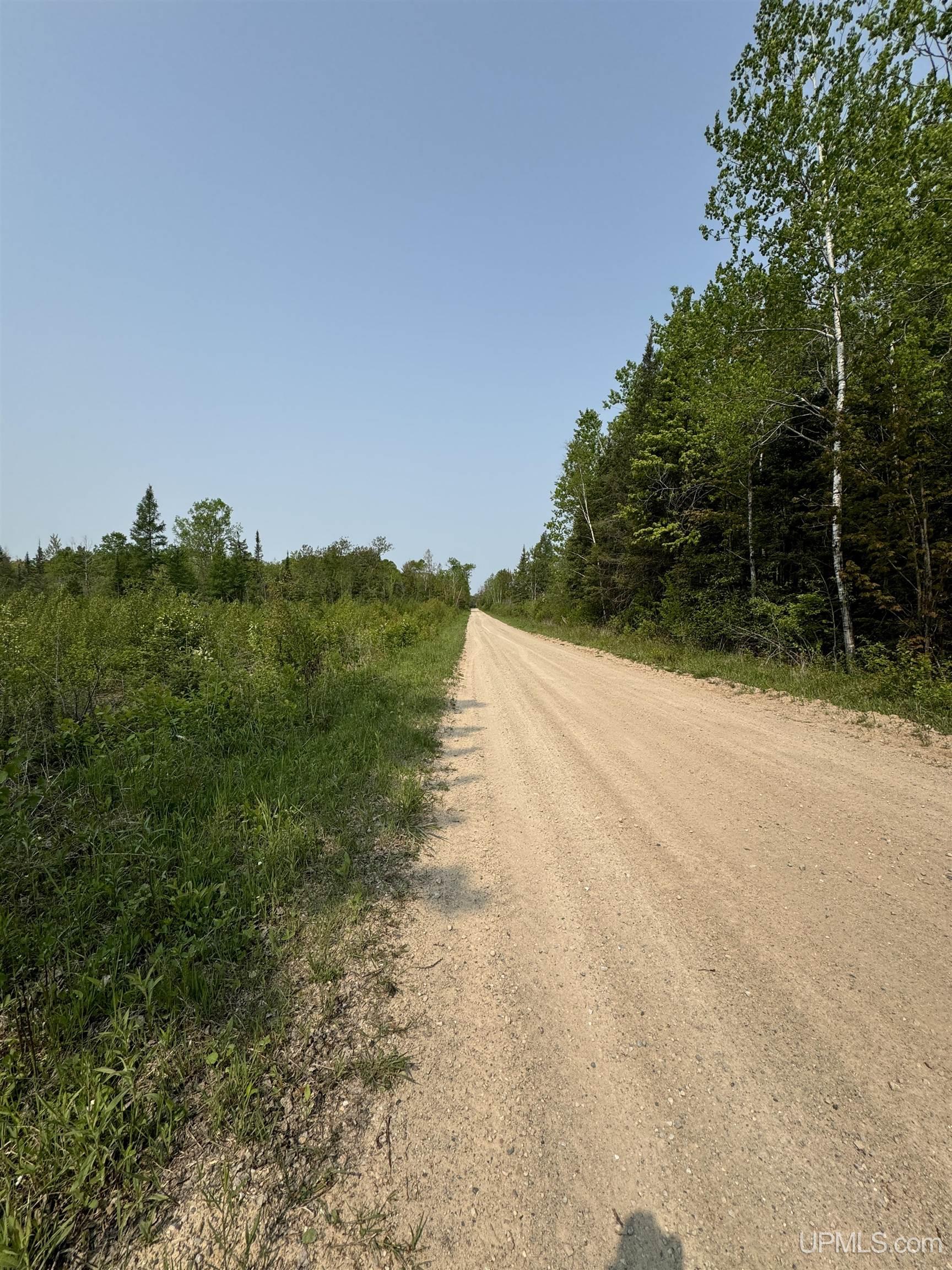 Homes for sale in Rock, MI | Tbd North 38th Rd "west 20" Rd, Rock, MI 49880 | MLS# 50176978