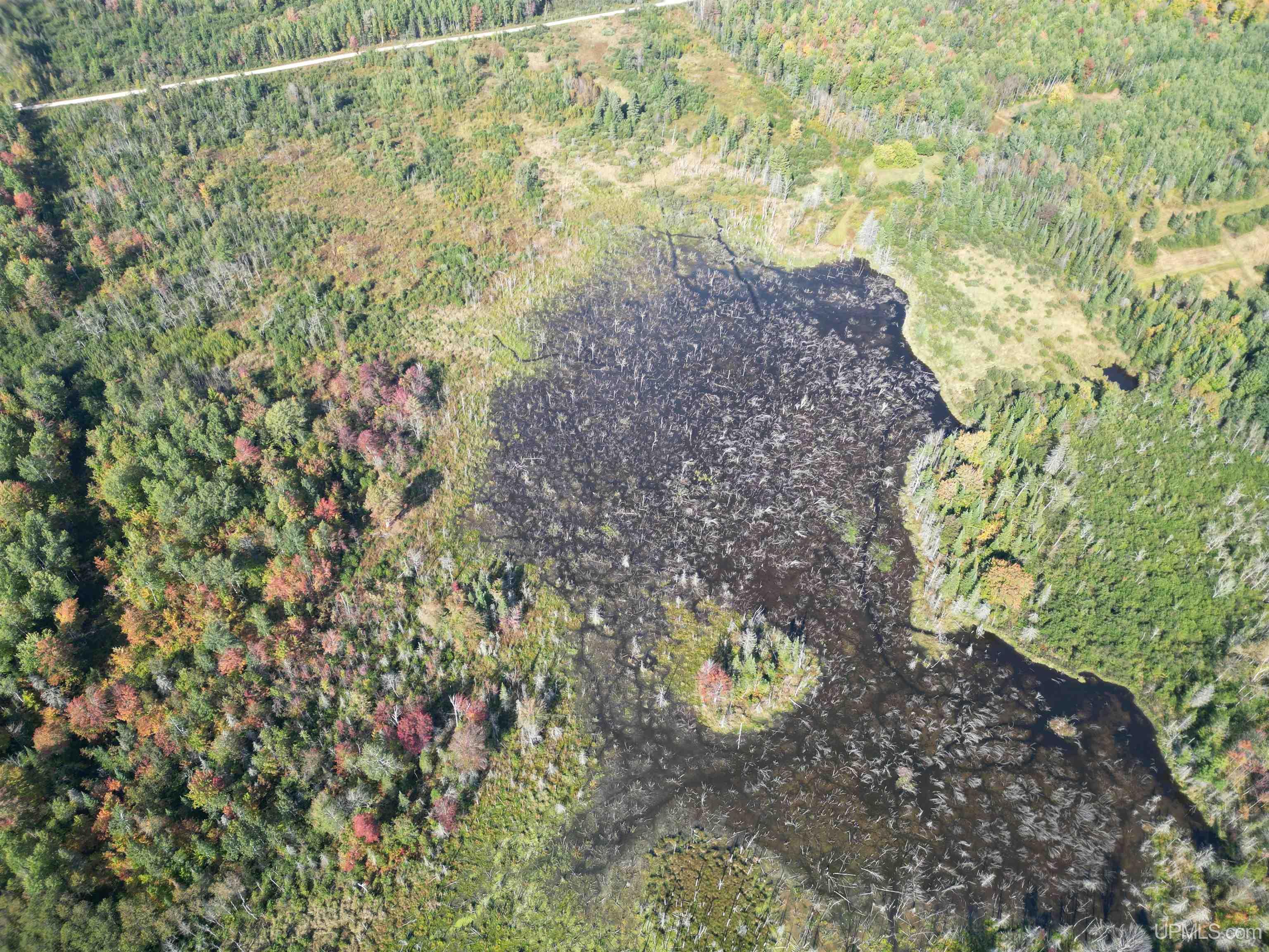 Homes for sale in Rock, MI | Tbd North 38Th Rd "West 20" Rd, Rock, MI 49880 | MLS# 50176978