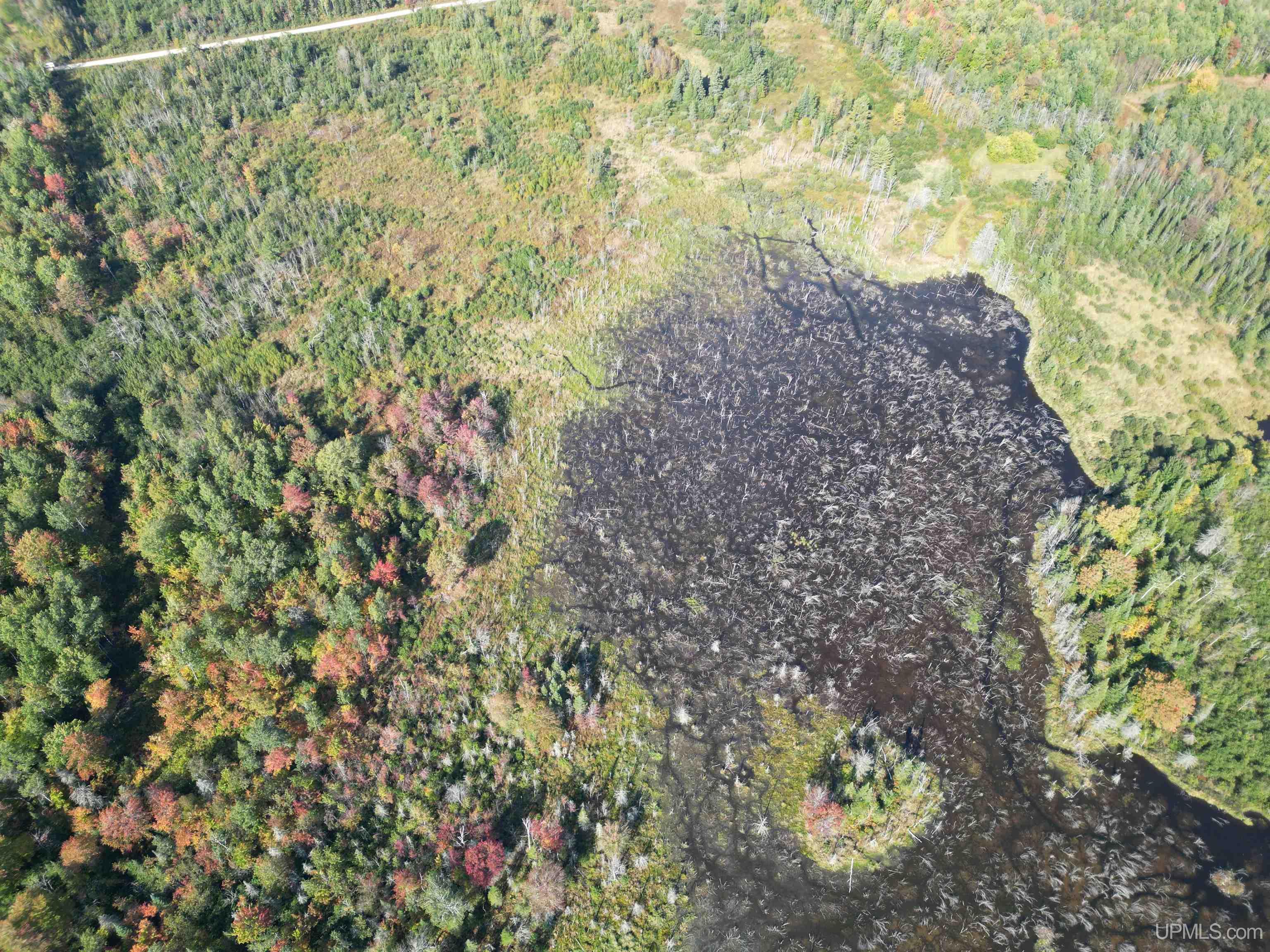 Homes for sale in Rock, MI | Tbd North 38Th Rd "West 20" Rd, Rock, MI 49880 | MLS# 50176978