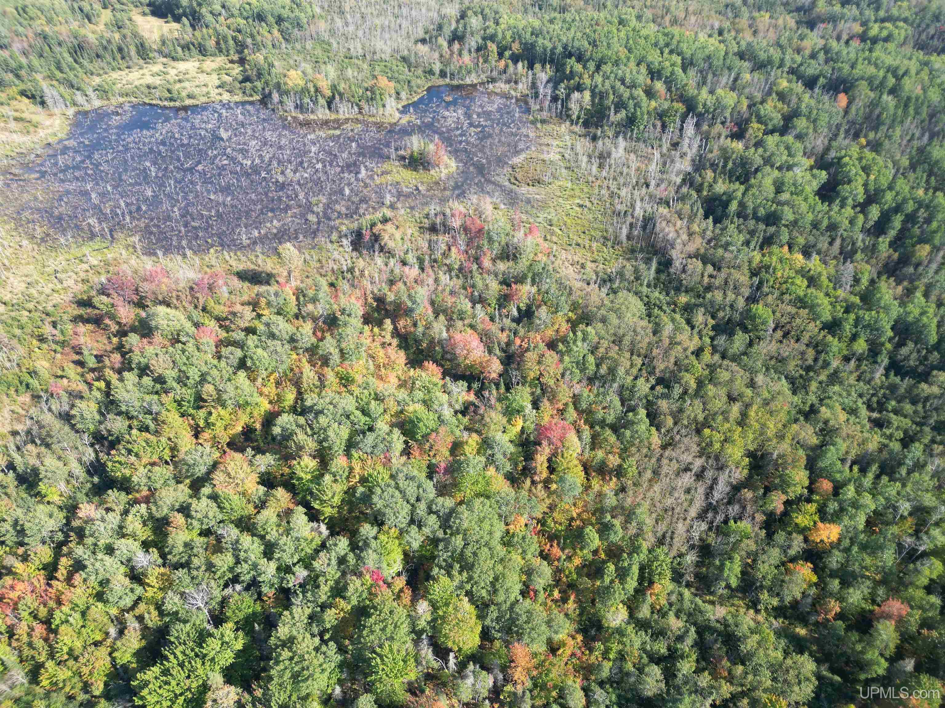 Homes for sale in Rock, MI | Tbd North 38Th Rd "West 20" Rd, Rock, MI 49880 | MLS# 50176978