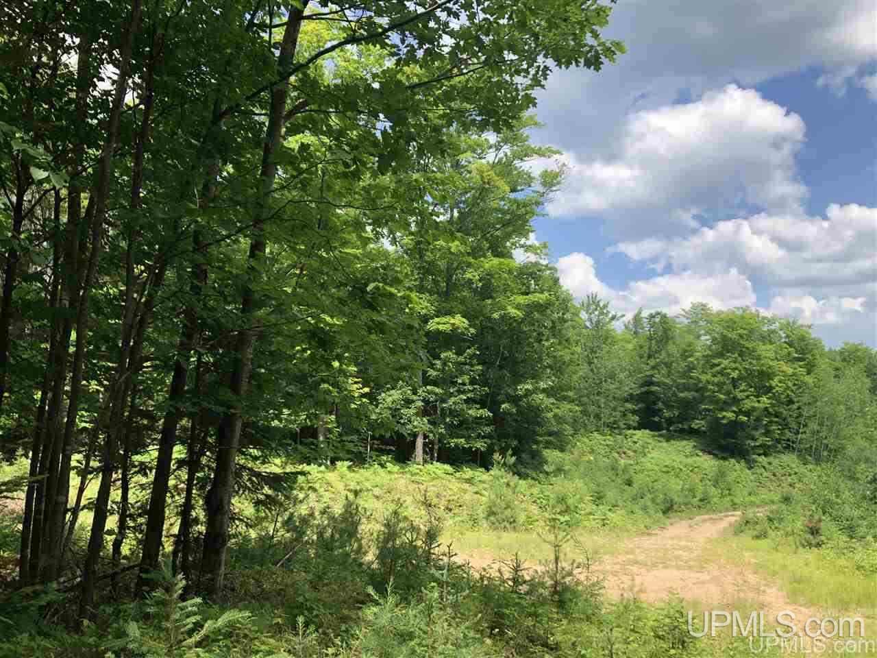 000 N Maplewood Road, Gwinn MI 49841-0000, 50177515