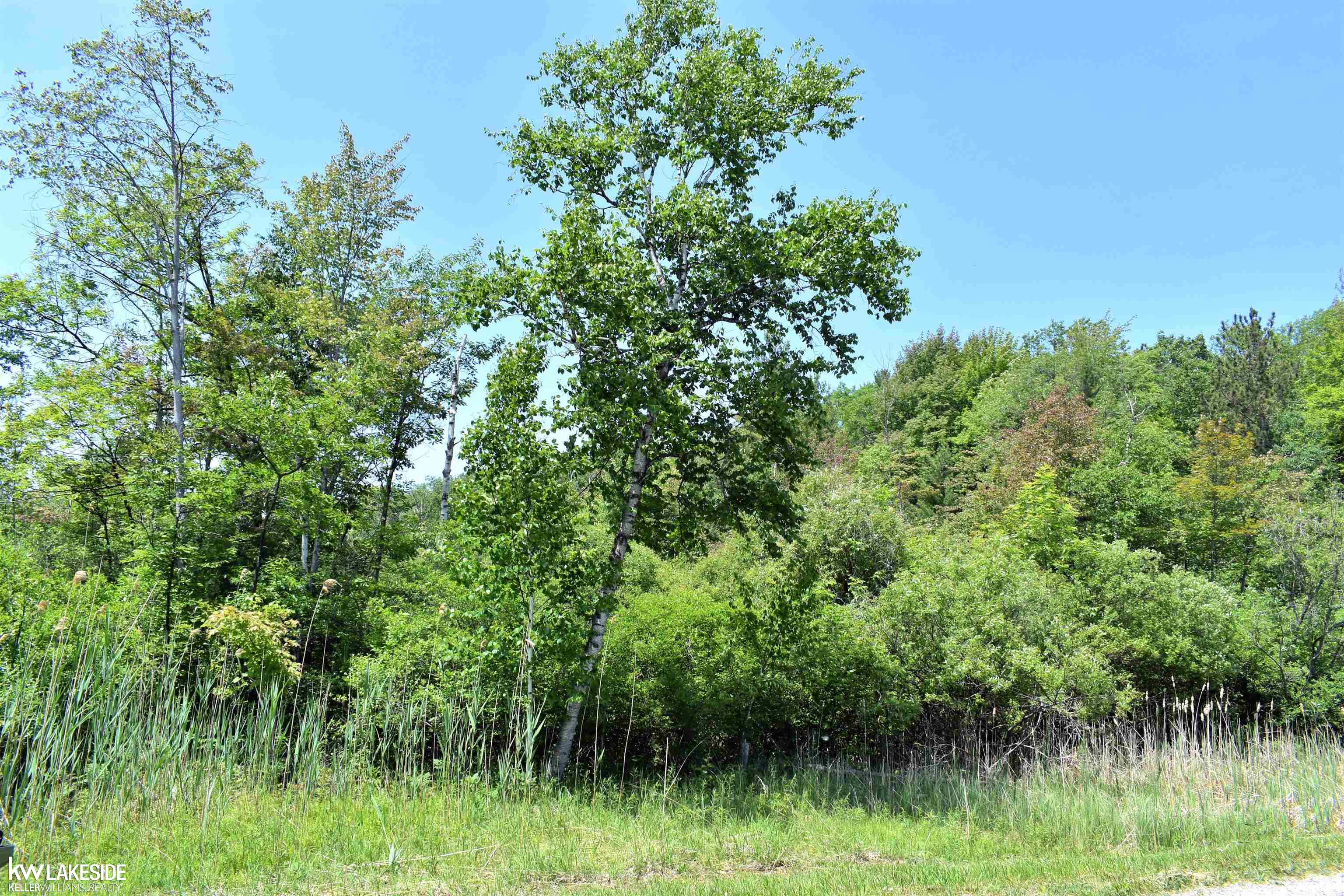 Homes for sale in Port Austin, MI | 6789 Oak Beach Rd, Port Austin, MI 48467 | MLS# 50178703