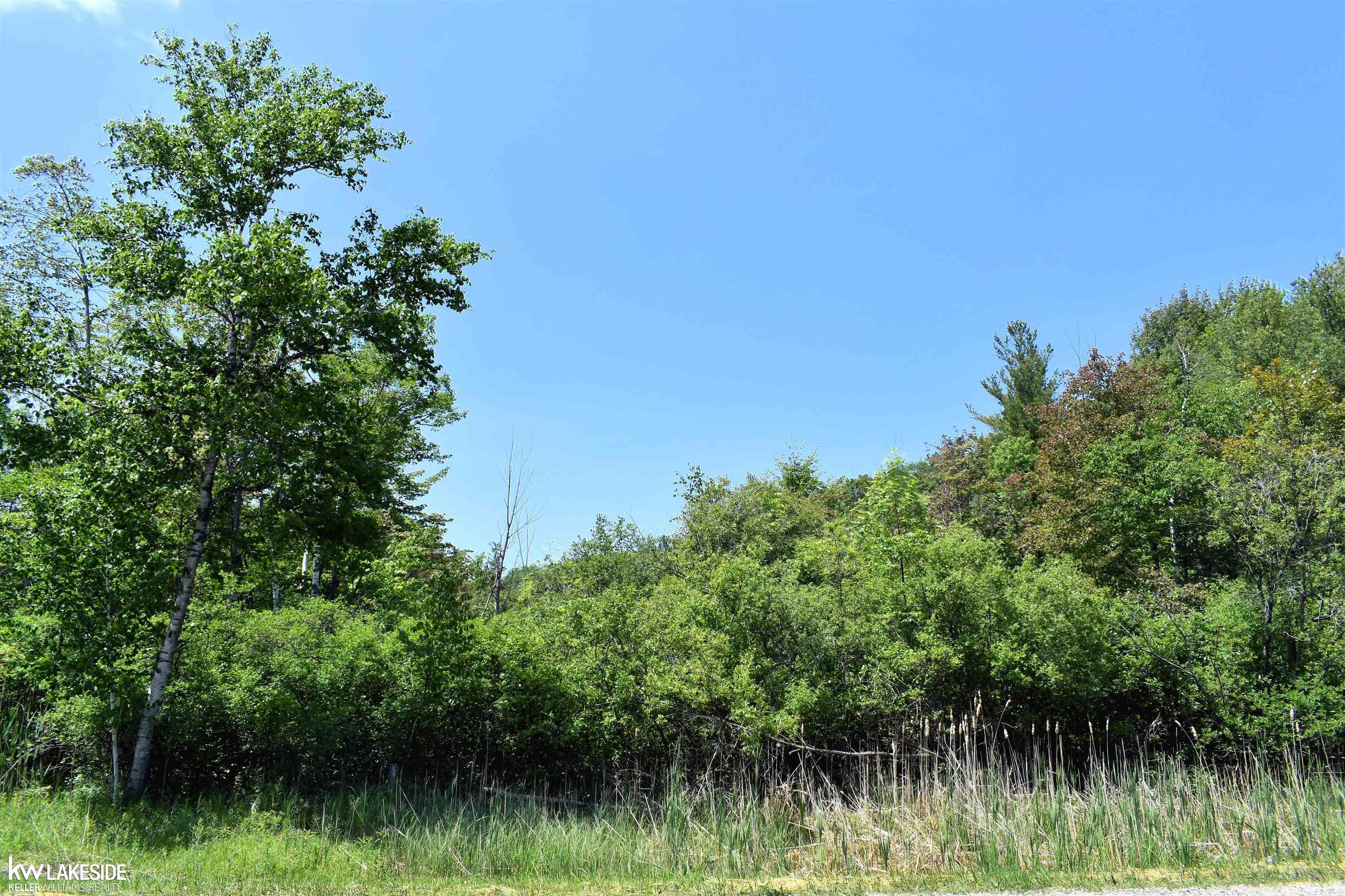 Homes for sale in Port Austin, MI | 6789 Oak Beach Rd, Port Austin, MI 48467 | MLS# 50178703