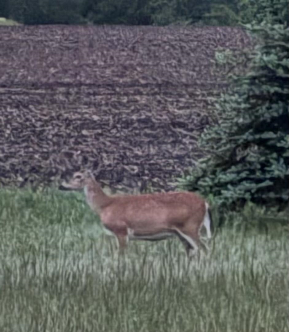 Homes for sale in Beaverton, MI | 2849 Shaffer Rd, Beaverton, MI 48612 | MLS# 50179050