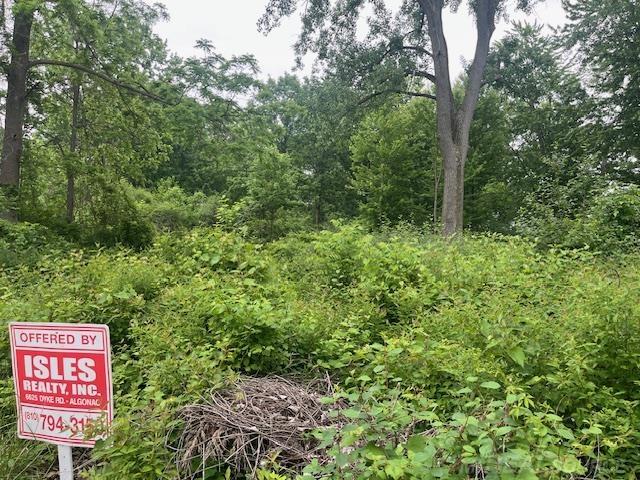 Homes for sale in Clay, MI | 0 Russell, Clay, MI 48001 | MLS# 50179629