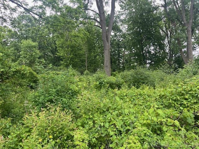 Homes for sale in Clay, MI | 0 Russell, Clay, MI 48001 | MLS# 50179629