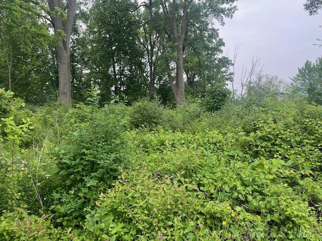 Homes for sale in Clay, MI | 0 Russell, Clay, MI 48001 | MLS# 50179629