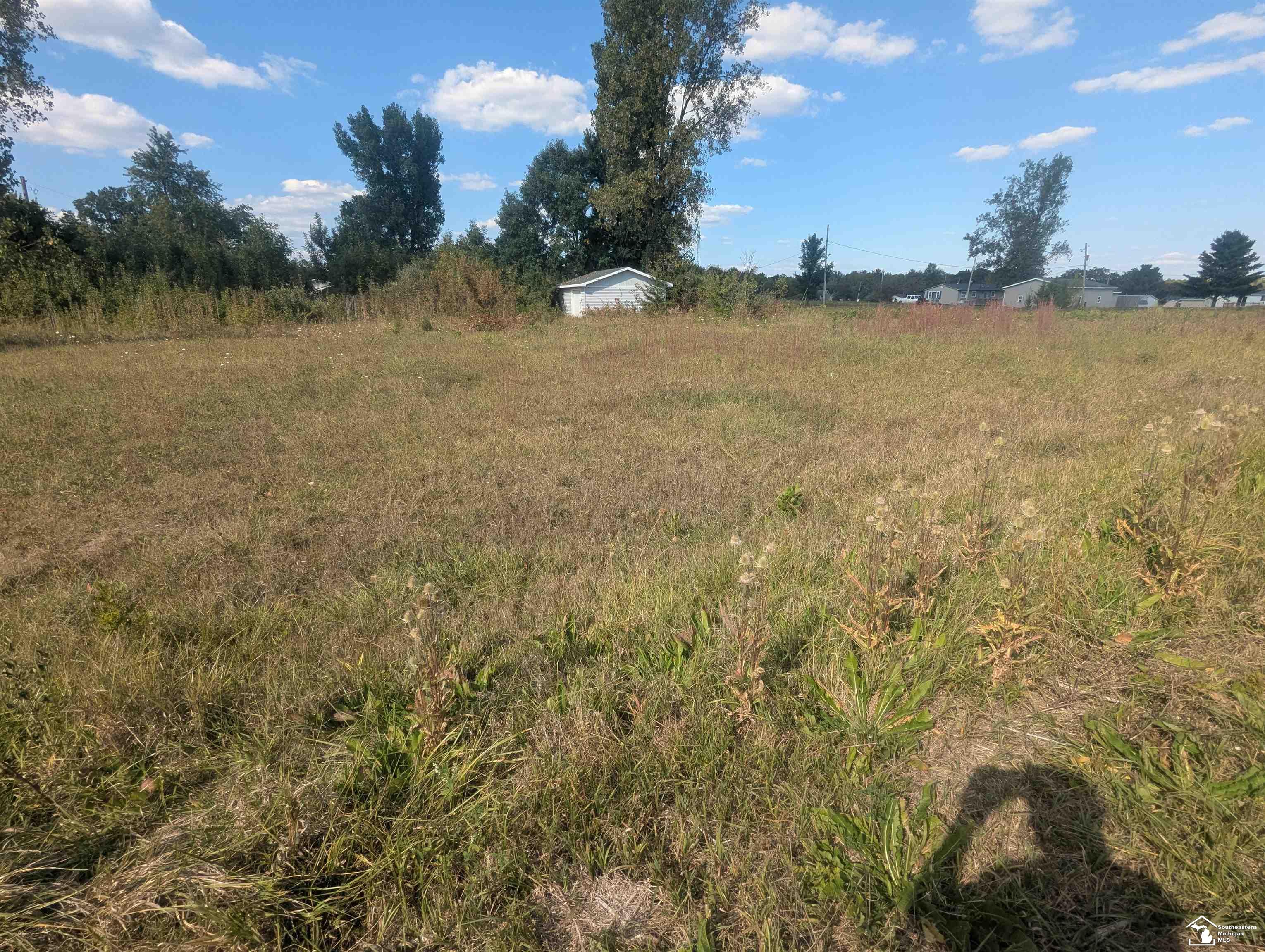 Homes for sale in Camden, MI | 4002 & 4014 Meadowlawn Dr, Camden, MI 49232 | MLS# 50179630