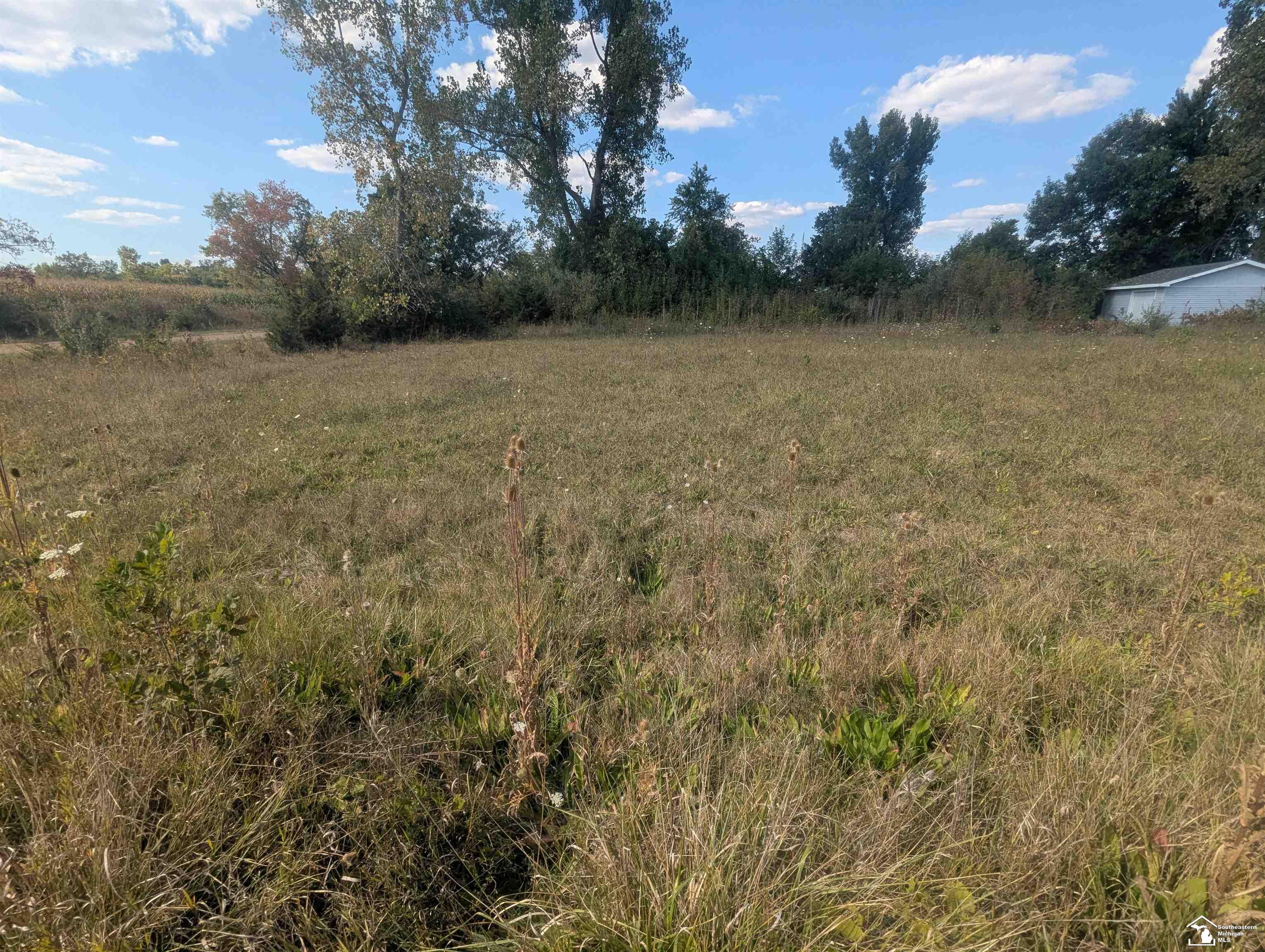 Homes for sale in Camden, MI | 4002 & 4014 Meadowlawn Dr, Camden, MI 49232 | MLS# 50179630