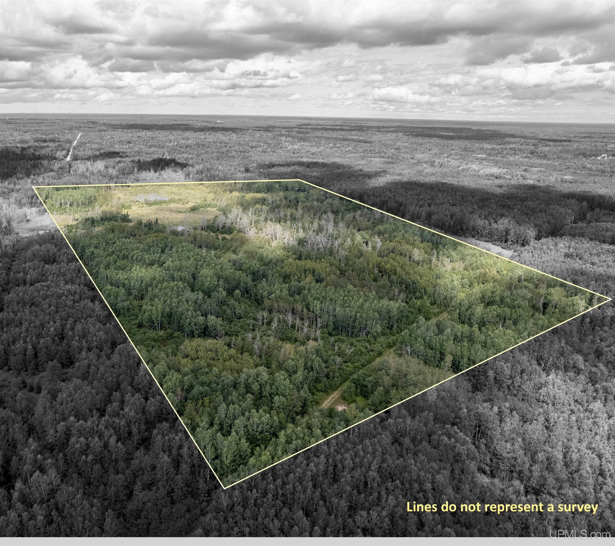 Homes for sale in Rock, MI | Tbd Plantation Ln, Rock, MI 49880 | MLS# 50180436