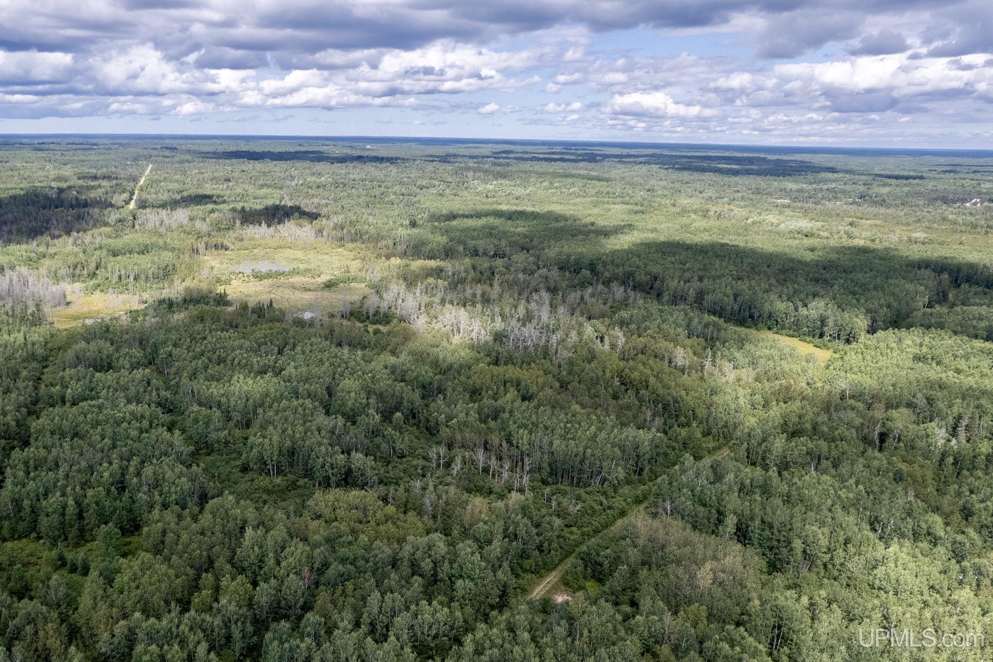 Homes for sale in Rock, MI | Tbd Plantation Ln, Rock, MI 49880 | MLS# 50180436