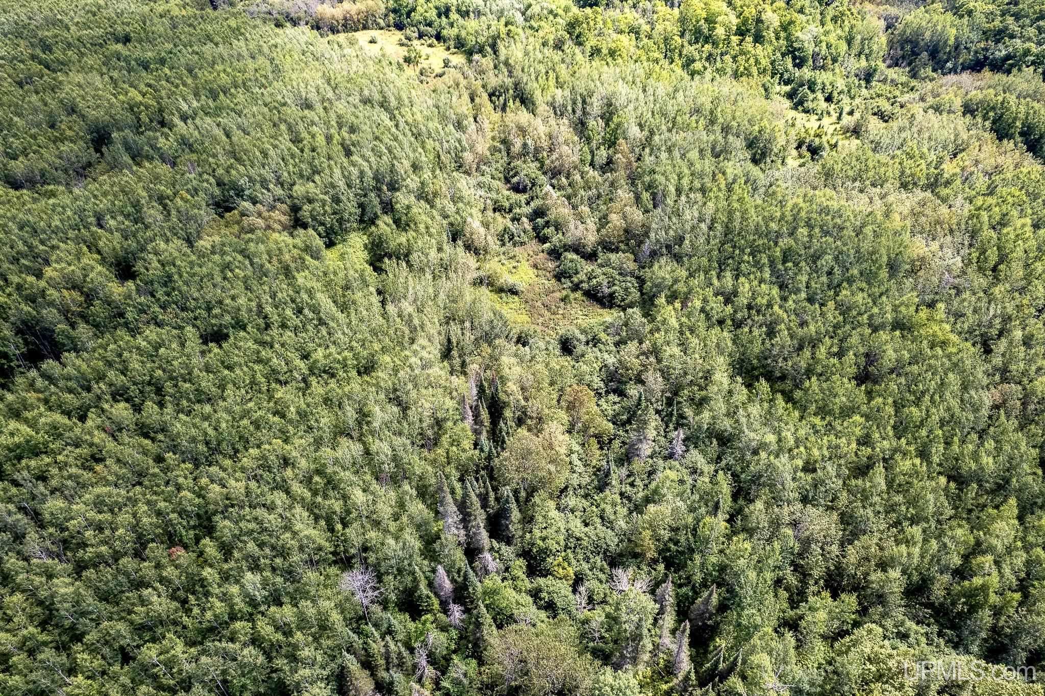 Homes for sale in Rock, MI | Tbd Plantation Ln, Rock, MI 49880 | MLS# 50180436